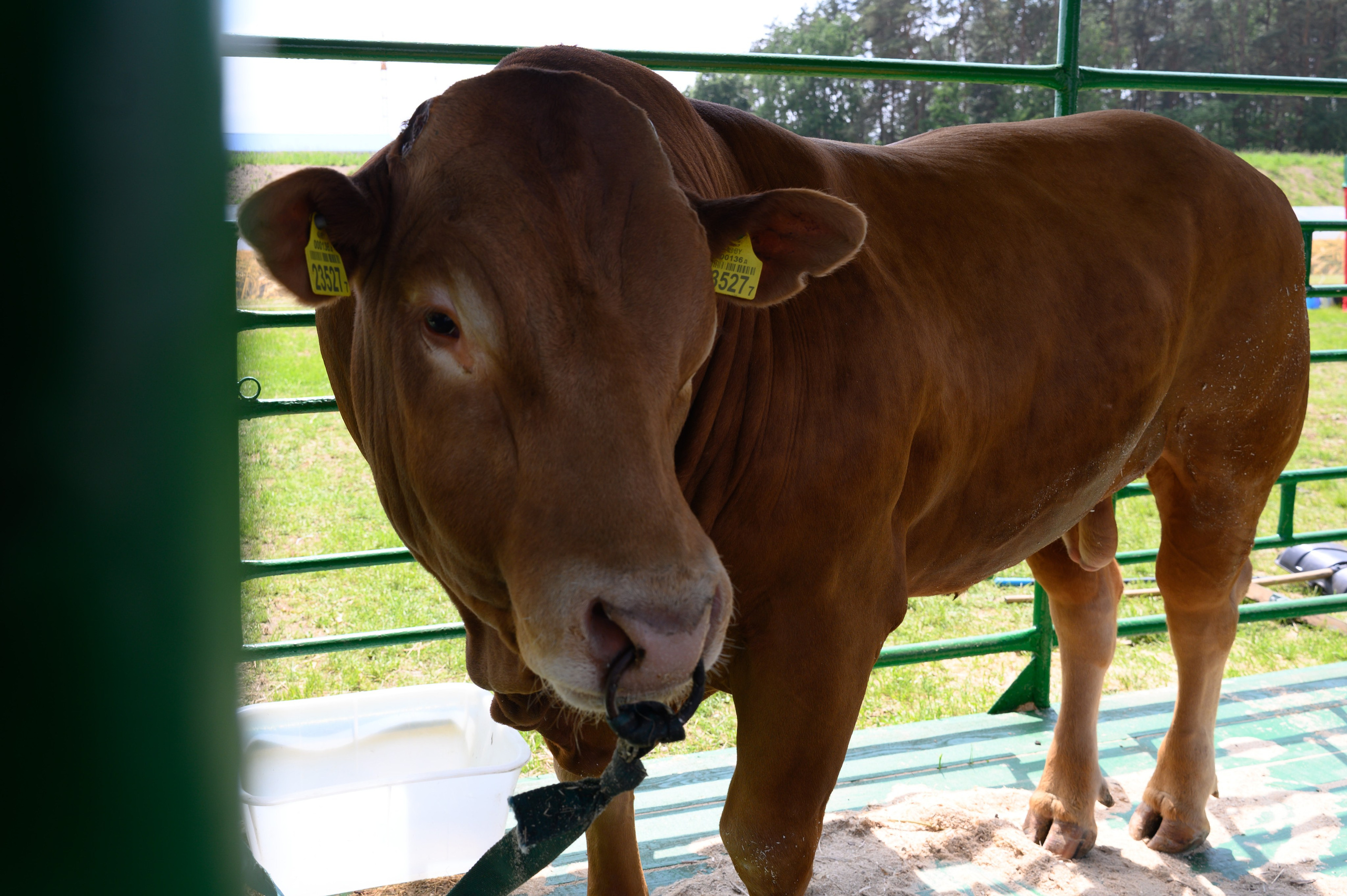 Агровыставка. Фотоуслуги, услуги фотографа, фотографирование важных событий