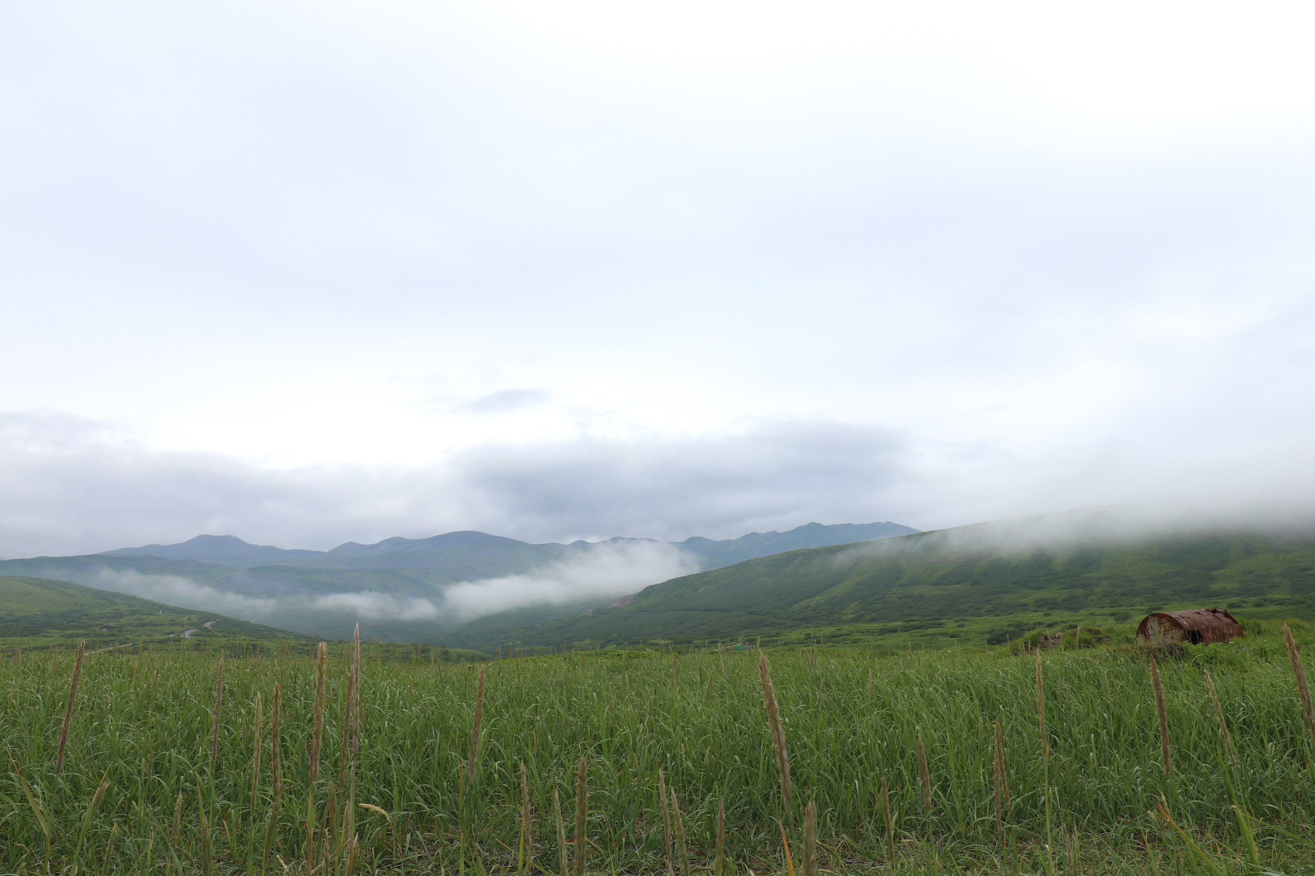 Камчатка и о. Парамушир. Июль 2024. Путешественник-фотограф из Санкт-Петербурга Татьяна Свистулина