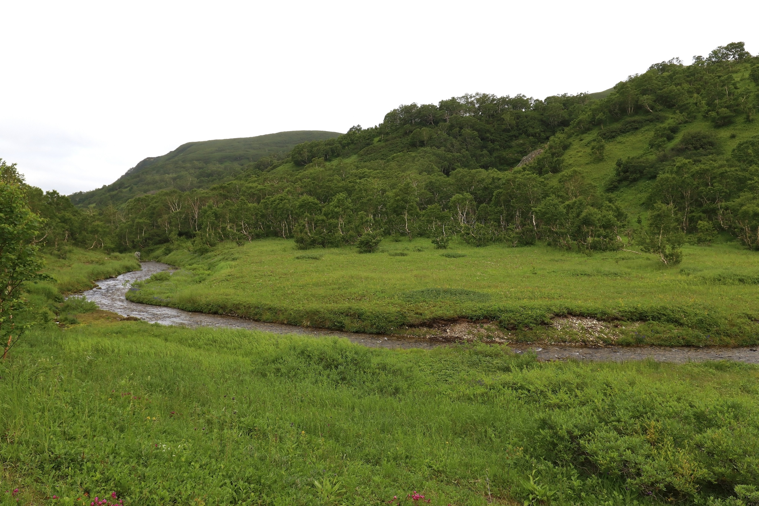 Камчатка и о. Парамушир. Июль 2024. Путешественник-фотограф из Санкт-Петербурга Татьяна Свистулина