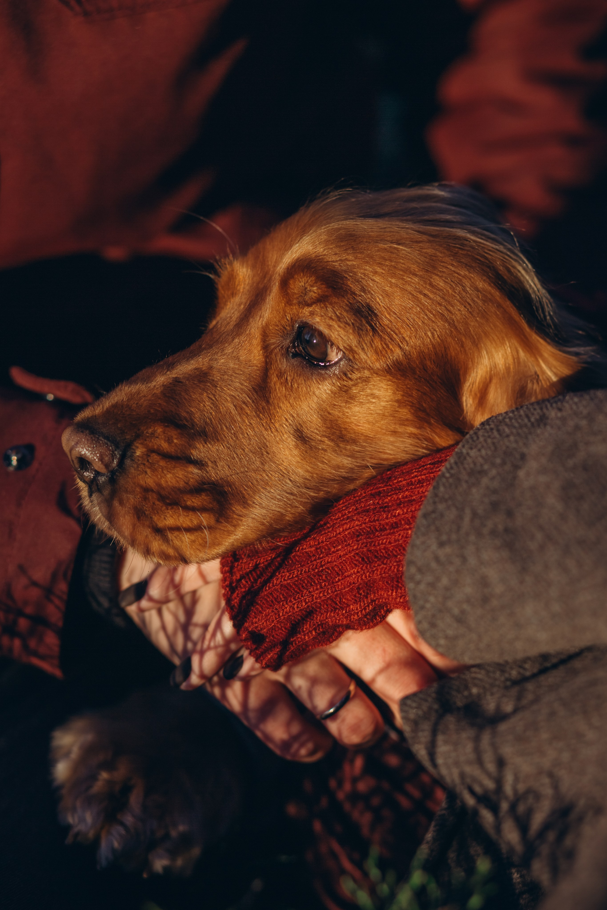 Вика, Слава, Мишель. Семейный и детский фотограф в Петрозаводске Наталья Крюкова