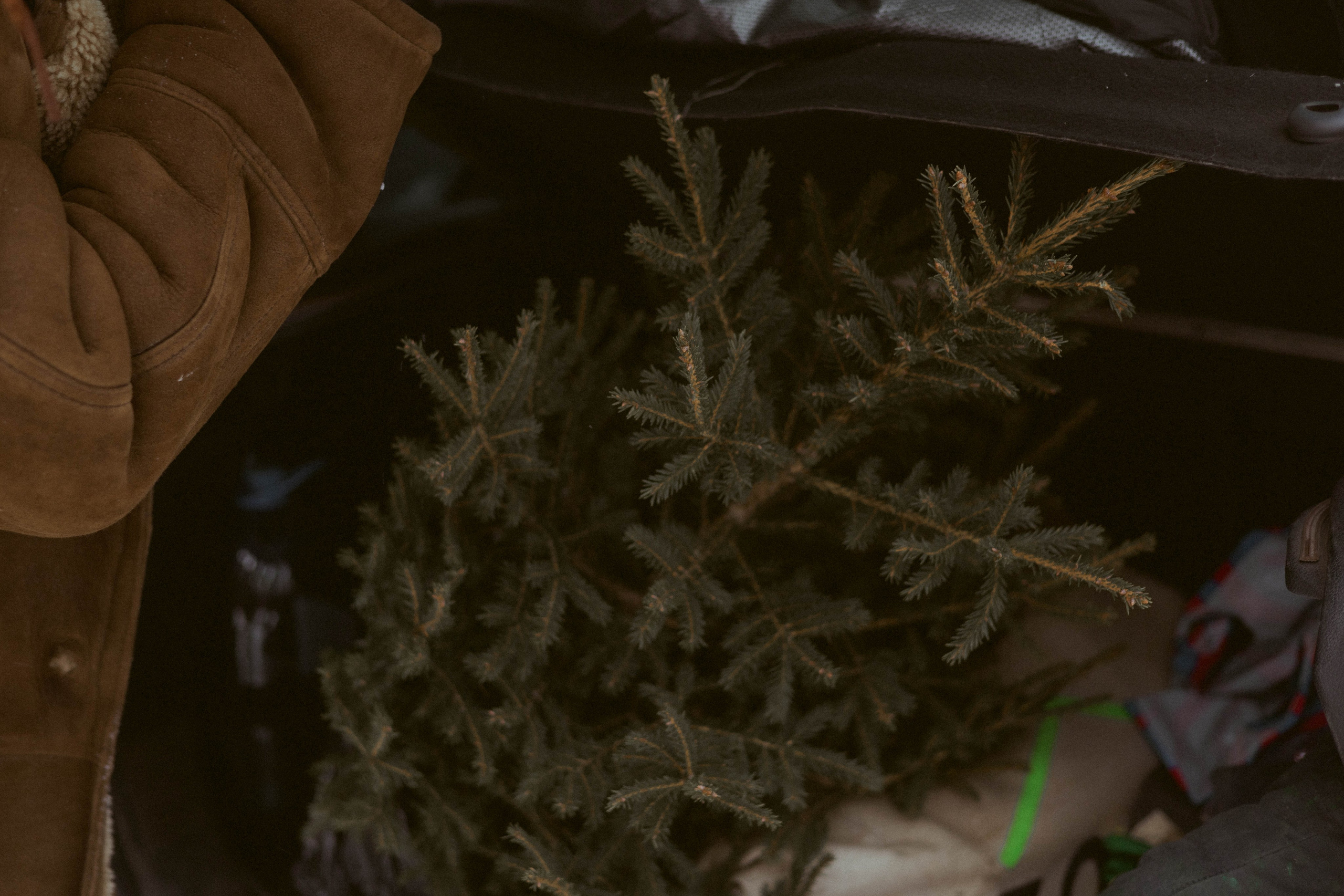 Фотопроект «Новогоднее настроение». Семейный фотограф в Ижевске Даша Денисова