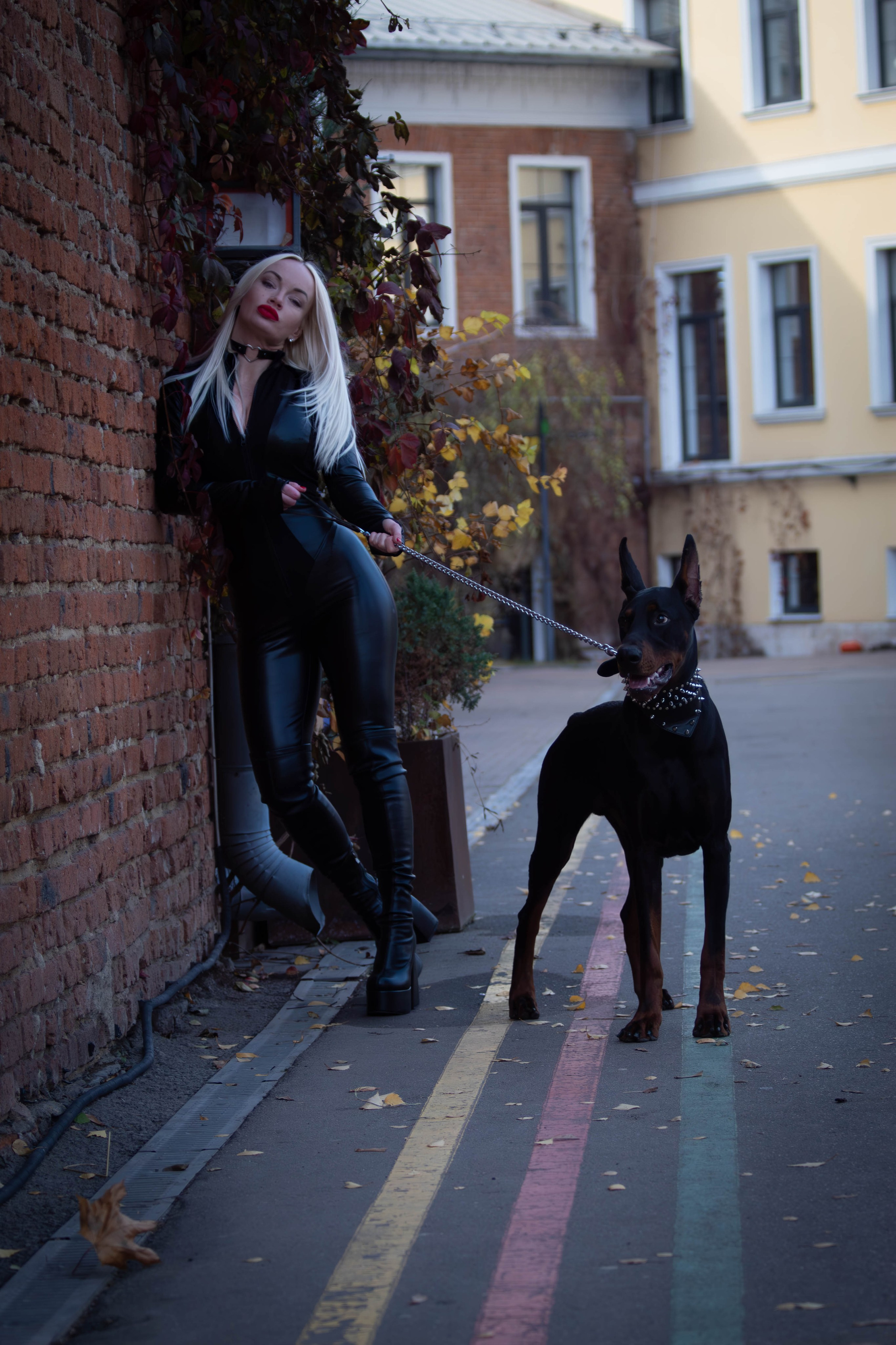 Фотосессии с животными Тула. Фотограф анималист — Тула, Москва