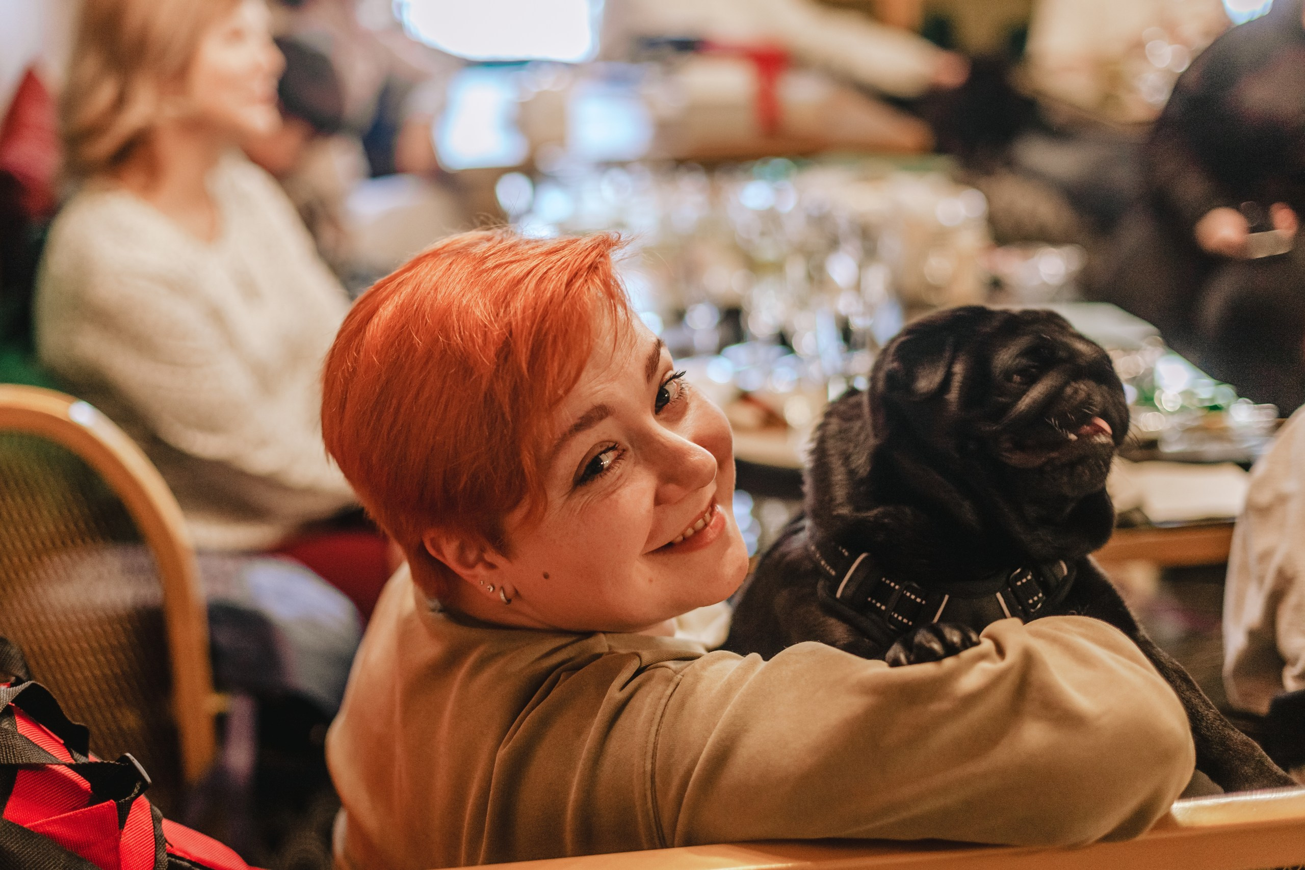 Мопсовстреча 02.12.2023. Фотограф-анималист Татьяна Степанова