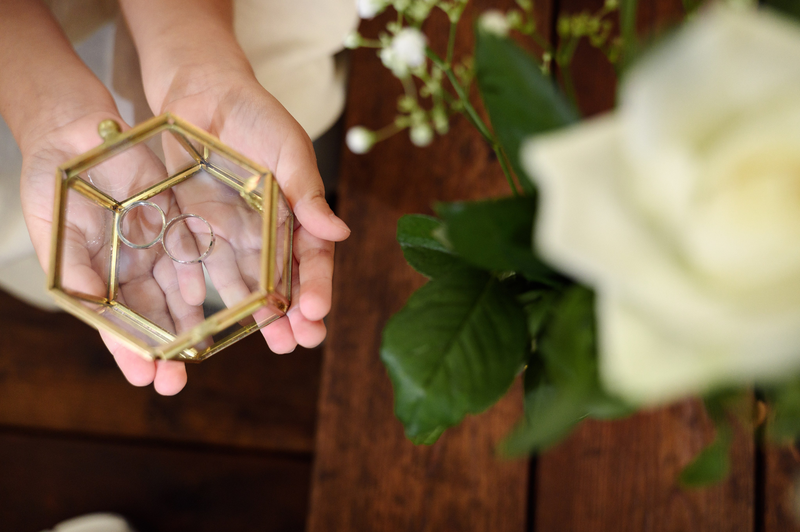 Девочка держит кольца свадебные видно только её руки кольца и на переднем плане Роза Белая расфокусе