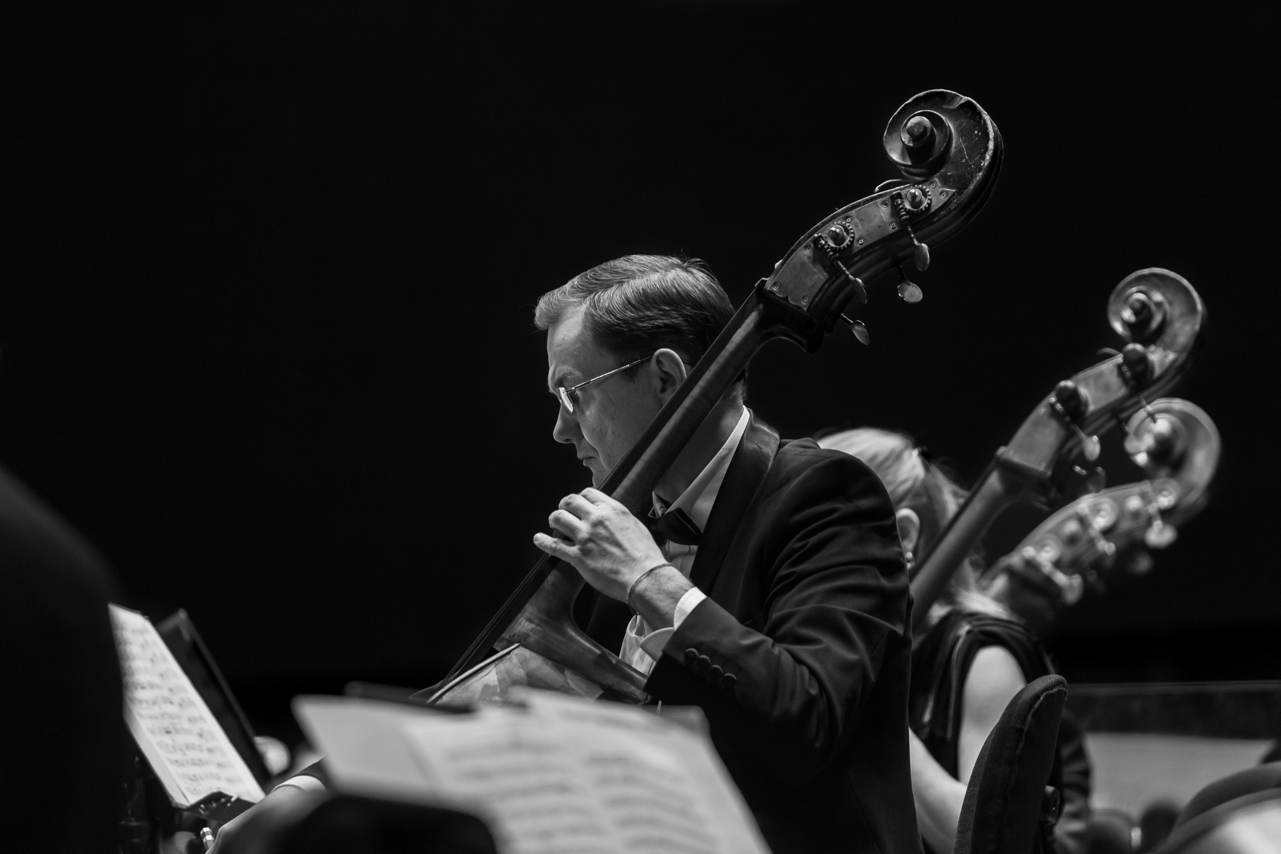 Фотограф Новосибирск Анна Полонова