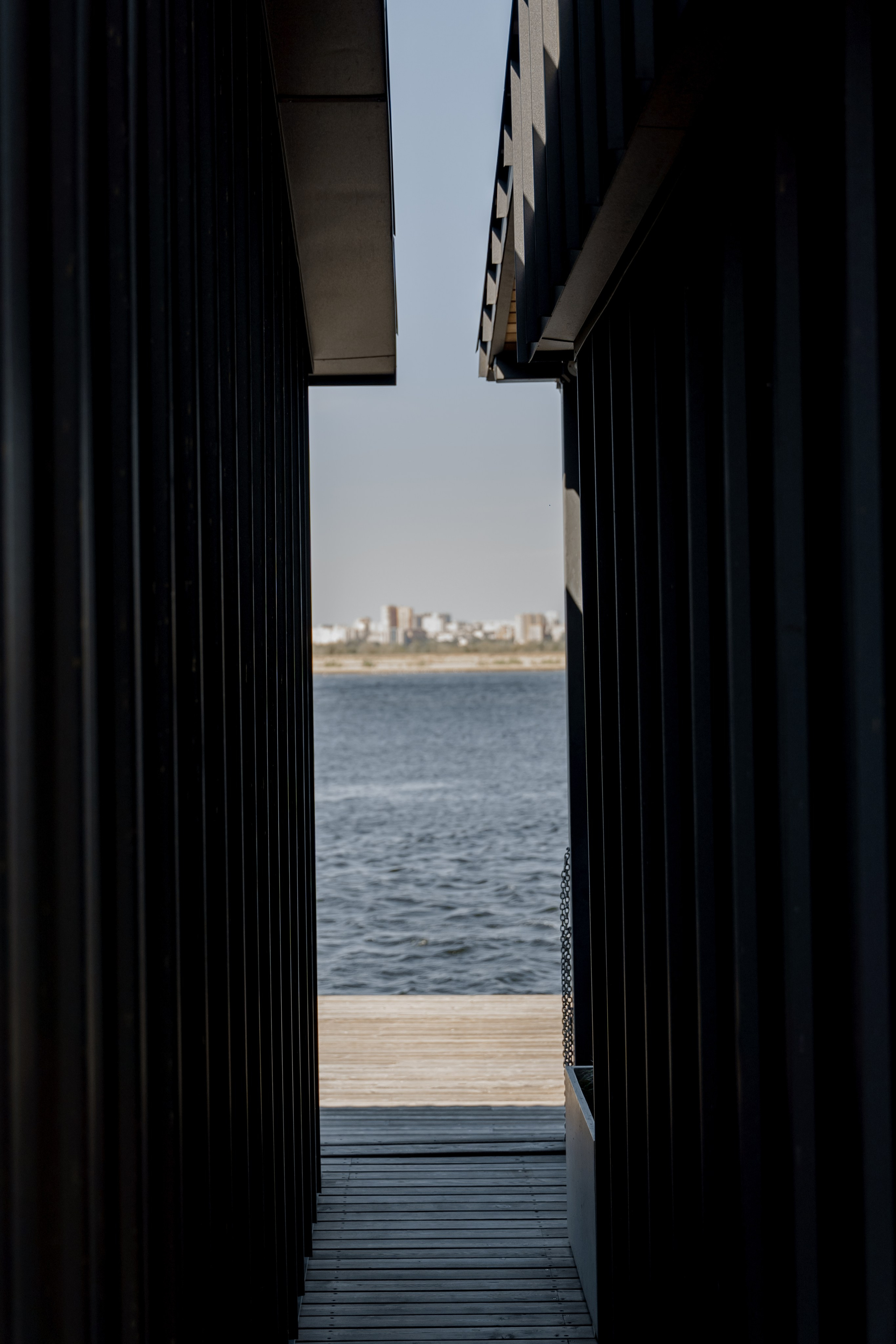 Surf 2025. Фотограф Валерия Крахмалева