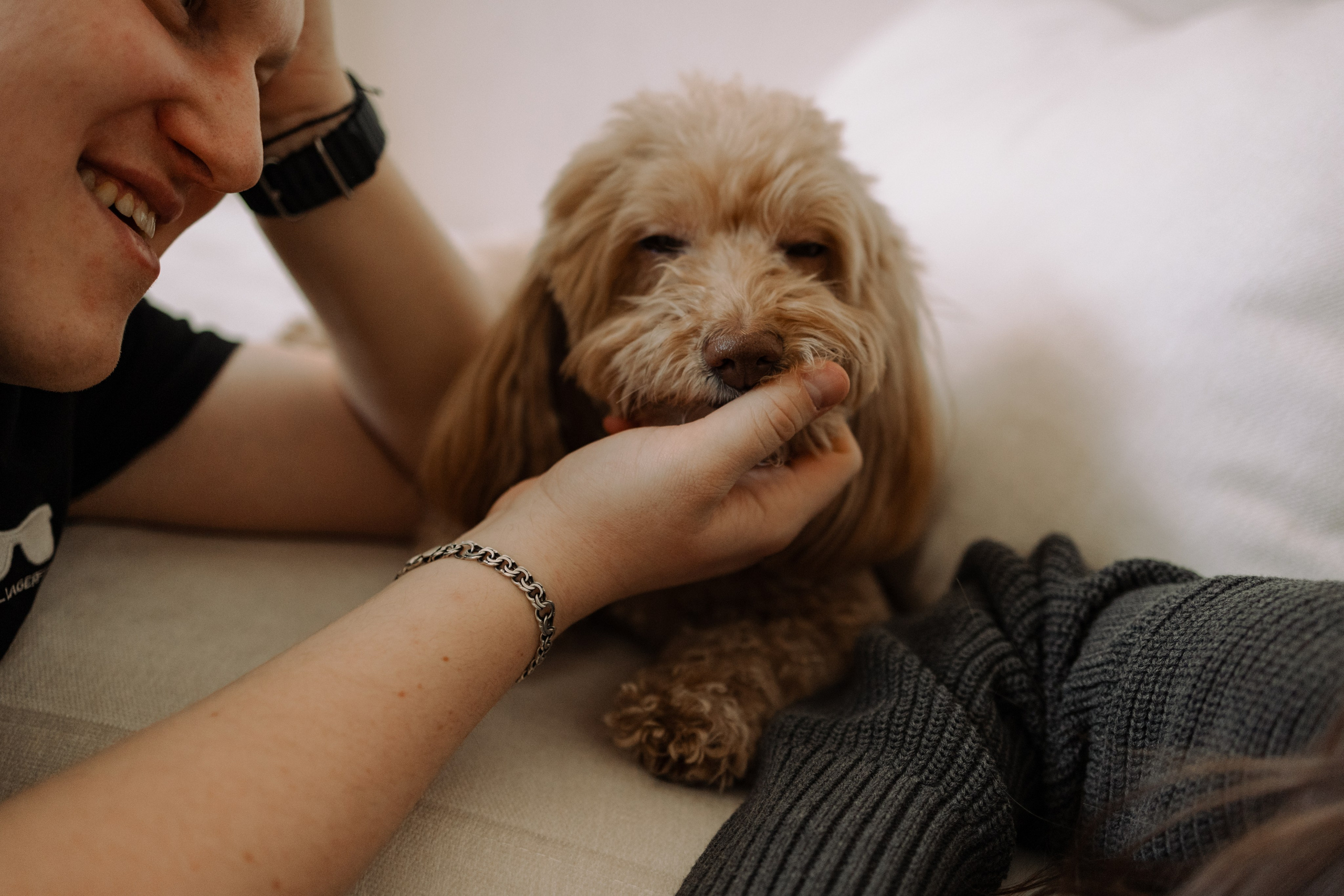 Шкипер и его семья. Фотограф — Анималист | Санкт-Петербург
