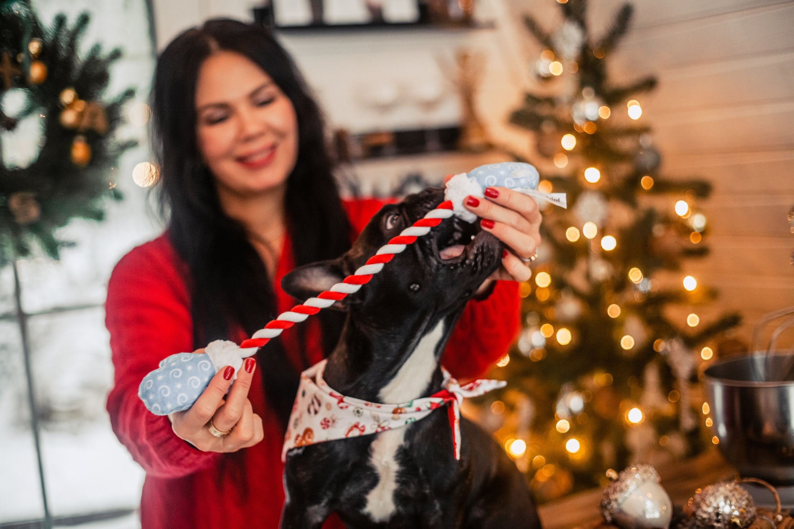 Кантри Хаус. Фотограф-анималист Татьяна Степанова