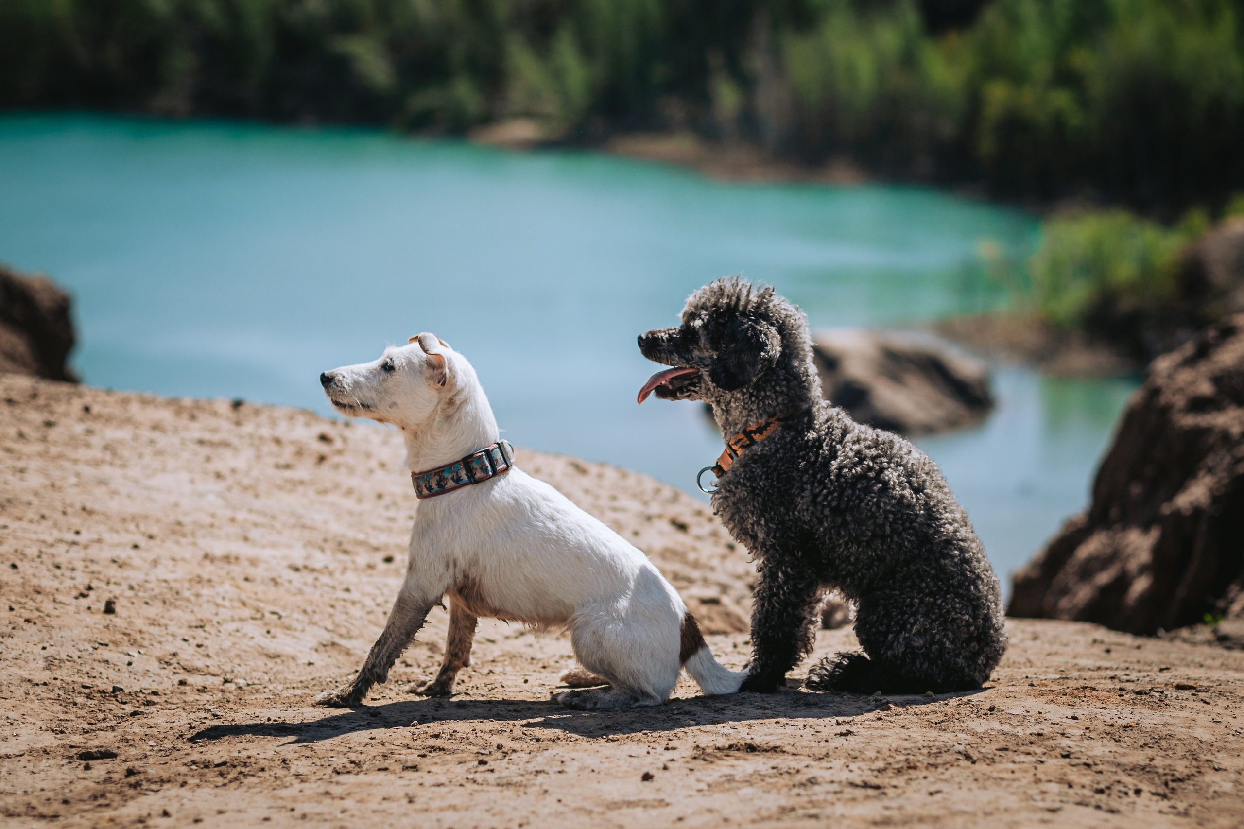 Кондуки. Фотограф-анималист Татьяна Степанова