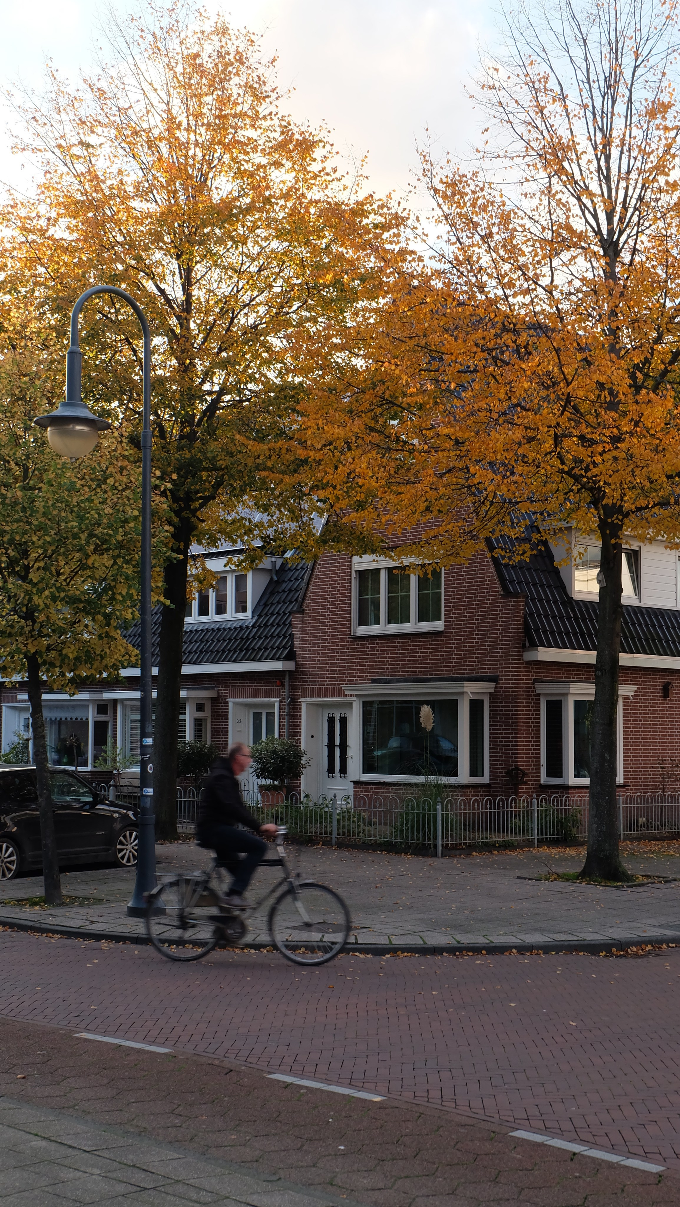 Нидерланды