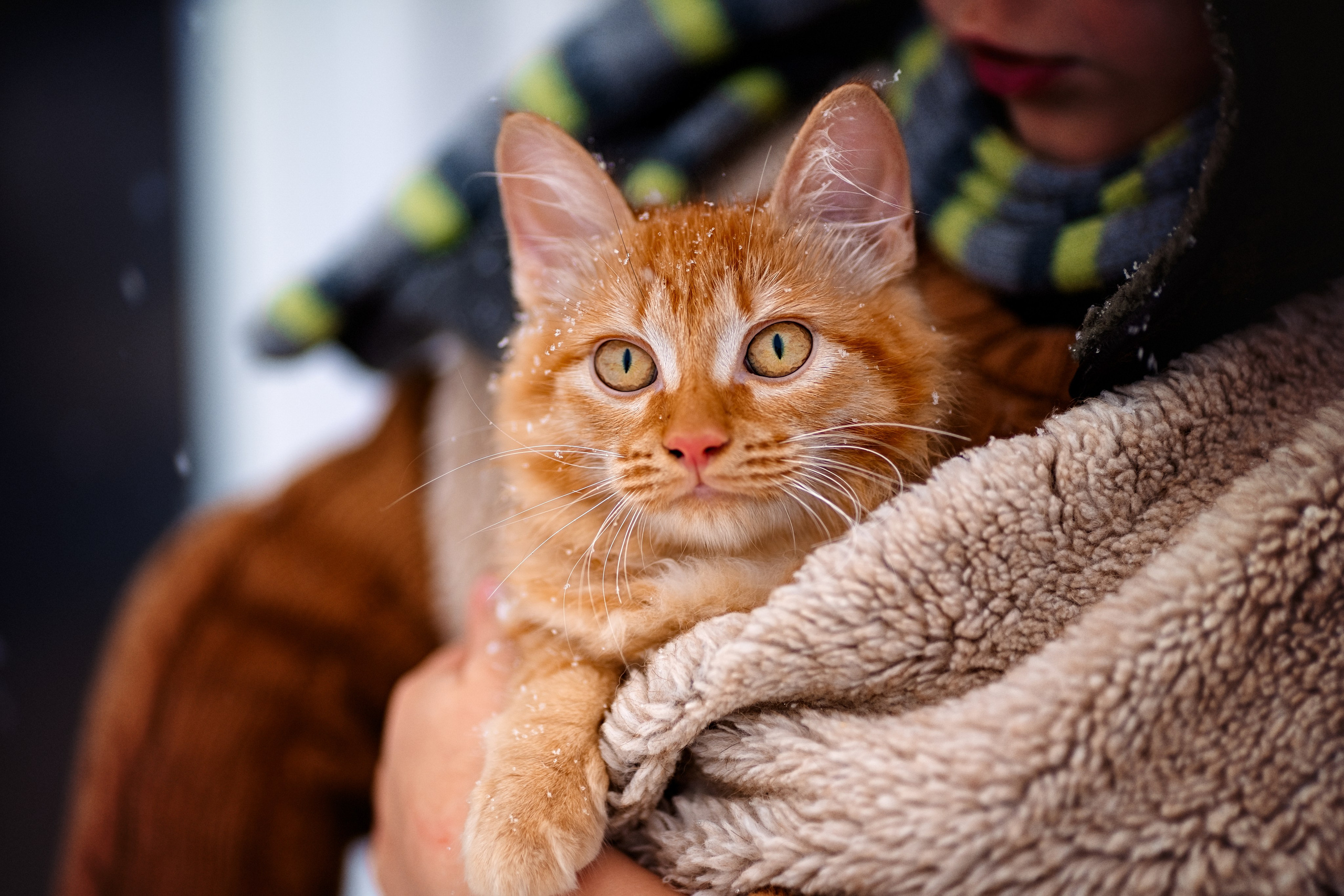 Миша. Семейный и женский фотограф. Видеомейкер в Новосибирске