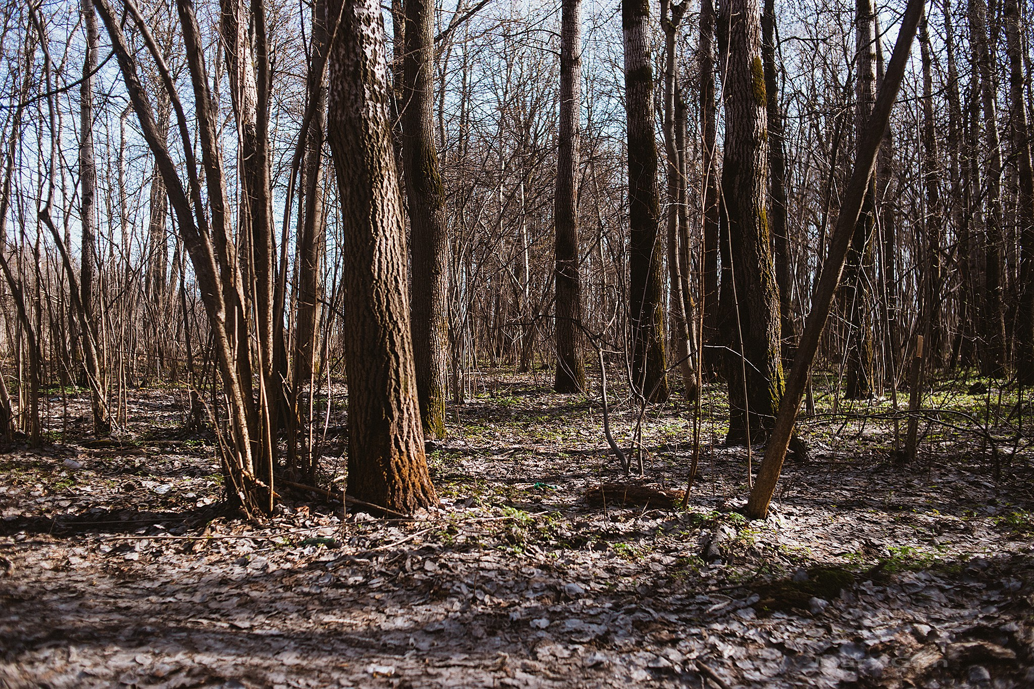 Весенняя прогулка. Детский и семейный фотограф, фотограф мероприятий Нижний Новгород