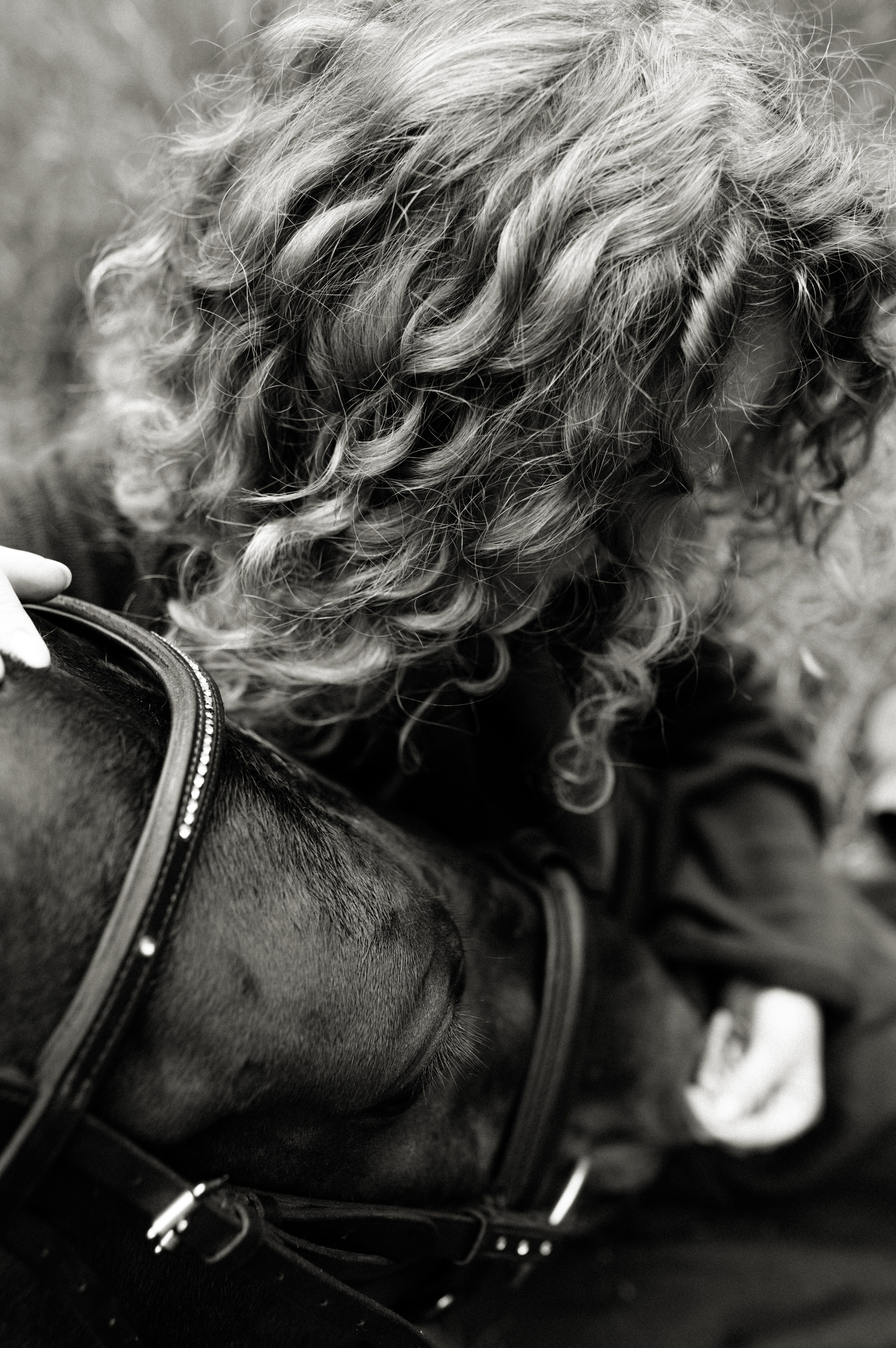 Лекса и Рим🐴. Лайфстайл фотограф в Москве Серебрянская Фаина