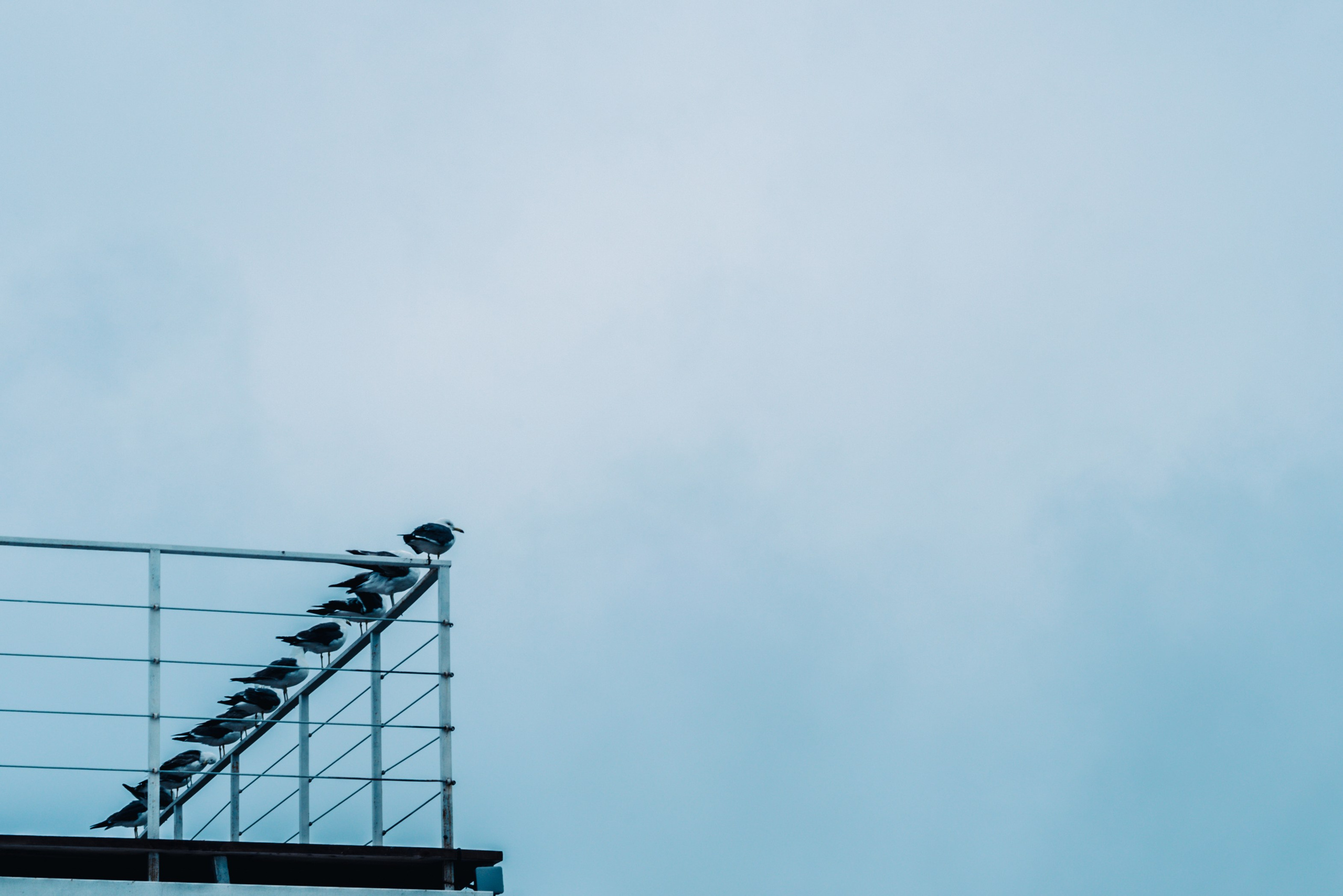 Путешествие рекламного фотографа из Гуанчжоу. Коммерческий и предметный фотограф в Гуанчжоу Коваленко Александр