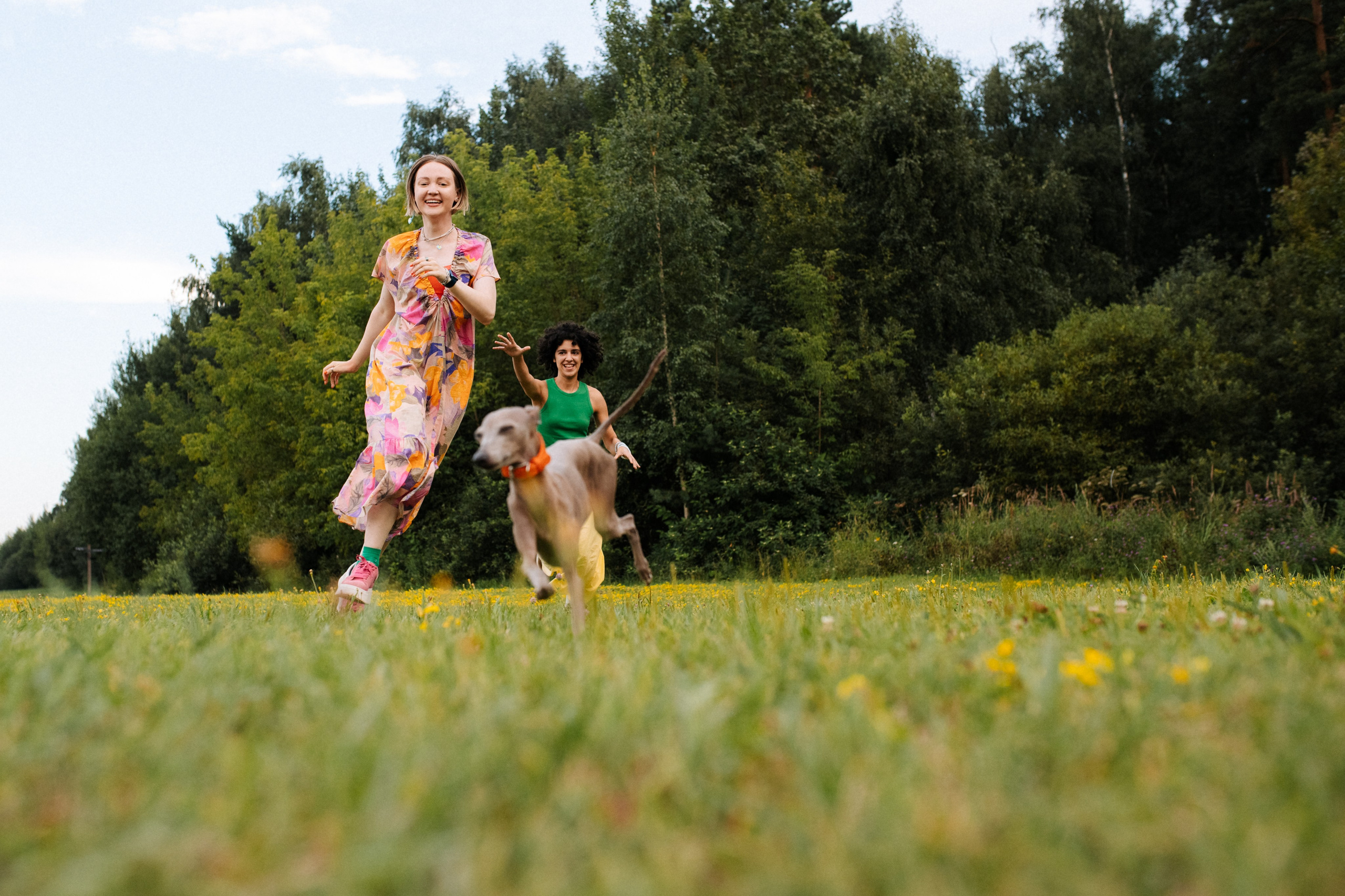 Хвост, смех и лучшие подруги. Фотограф анималист в Москве Ольга Агушева
