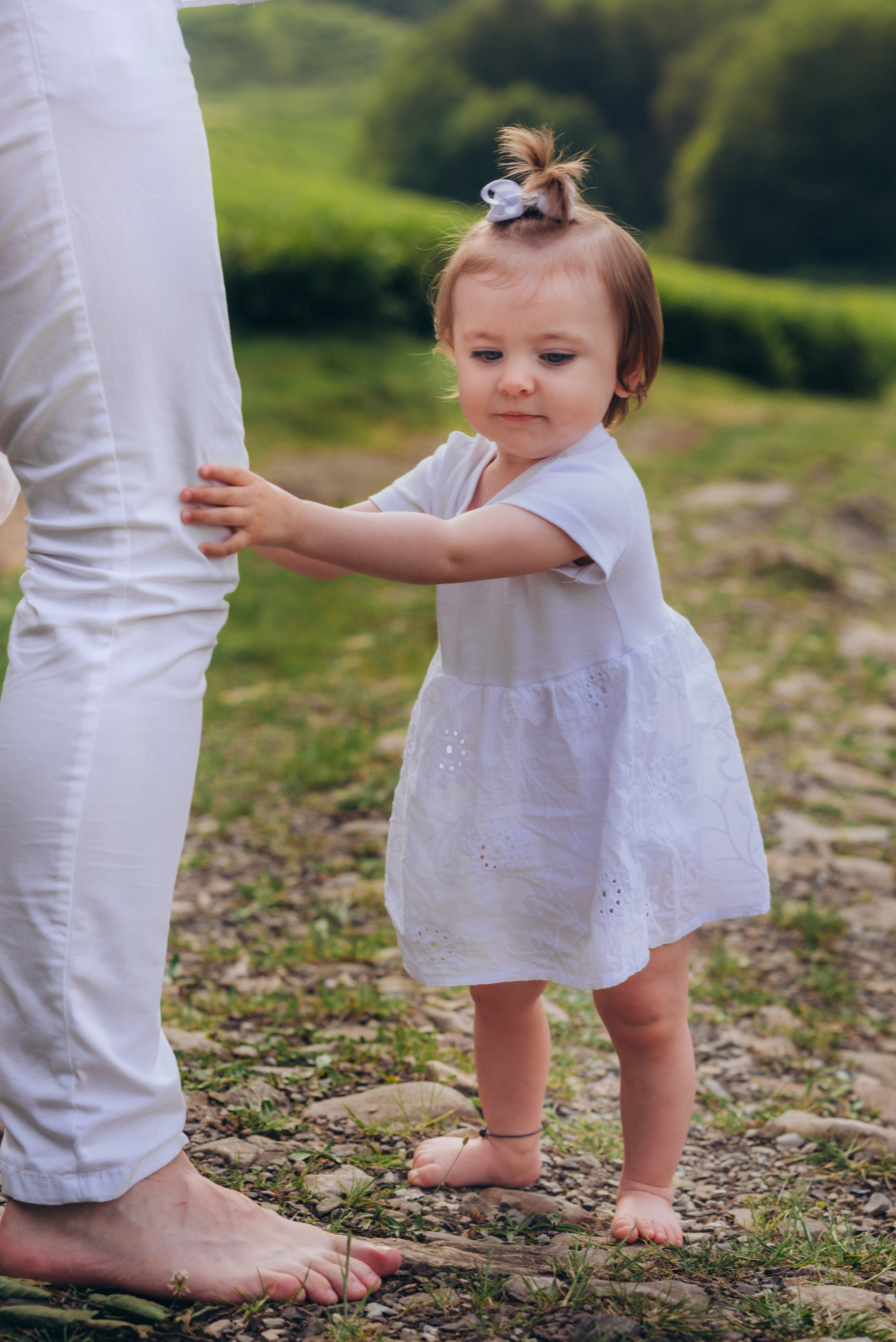 Чайные плантации. Фотограф Диана Вальтер
