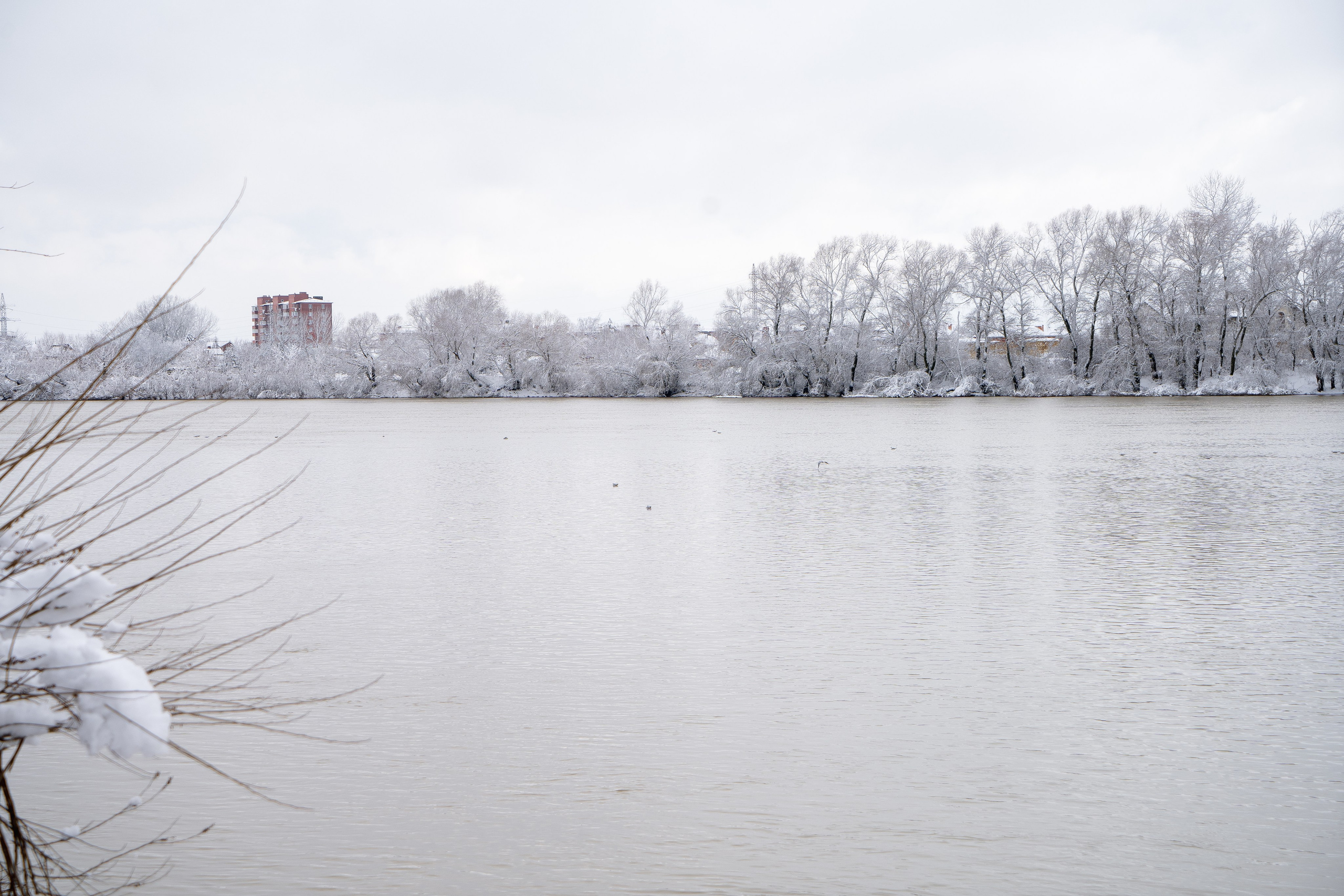 Зима 2024. Свадебный и семейный фотограф/видеограф в Краснодаре Наталья Осинская
