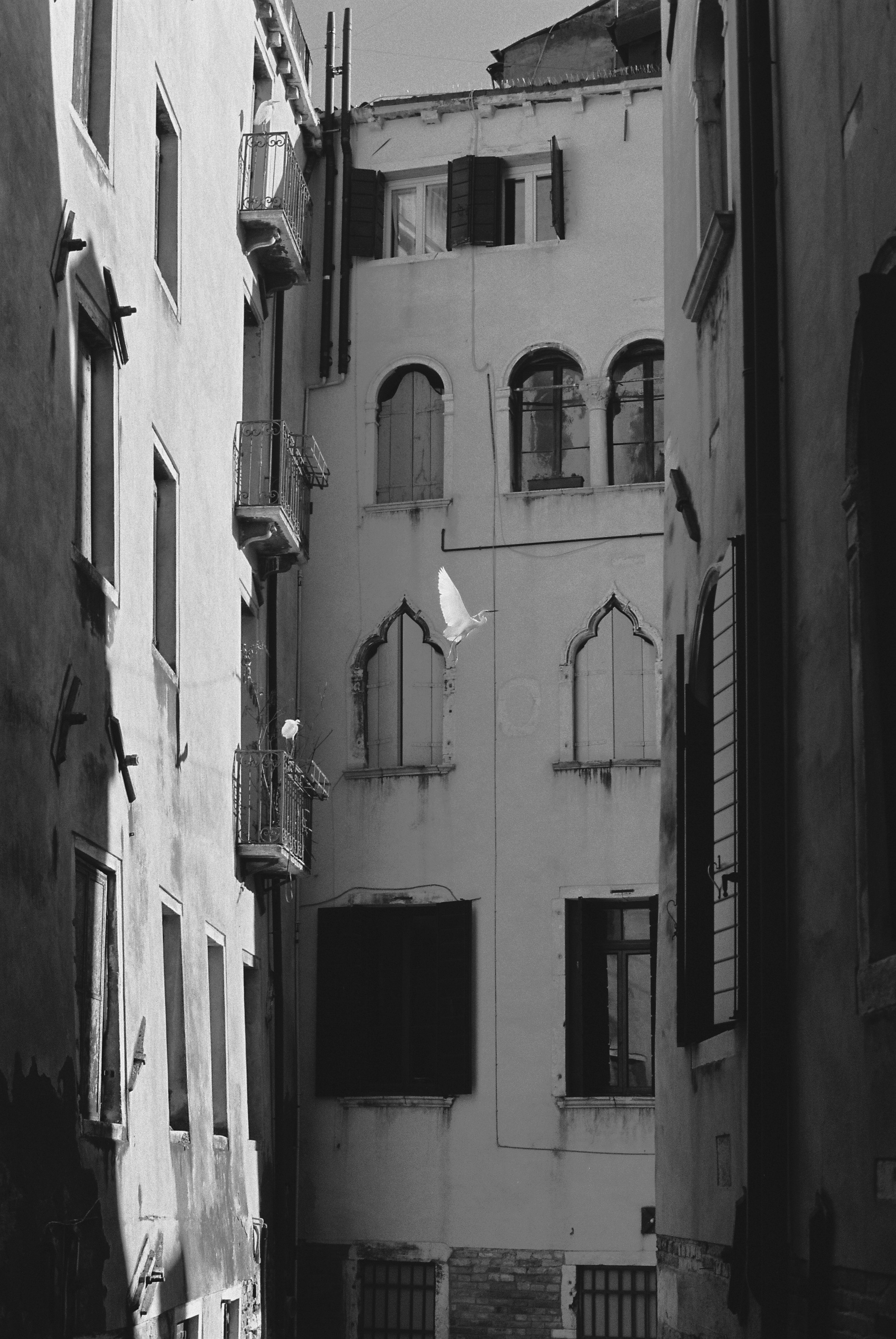 Fine art. Katya Zimina, film photographer based in Lisbon, Portugal