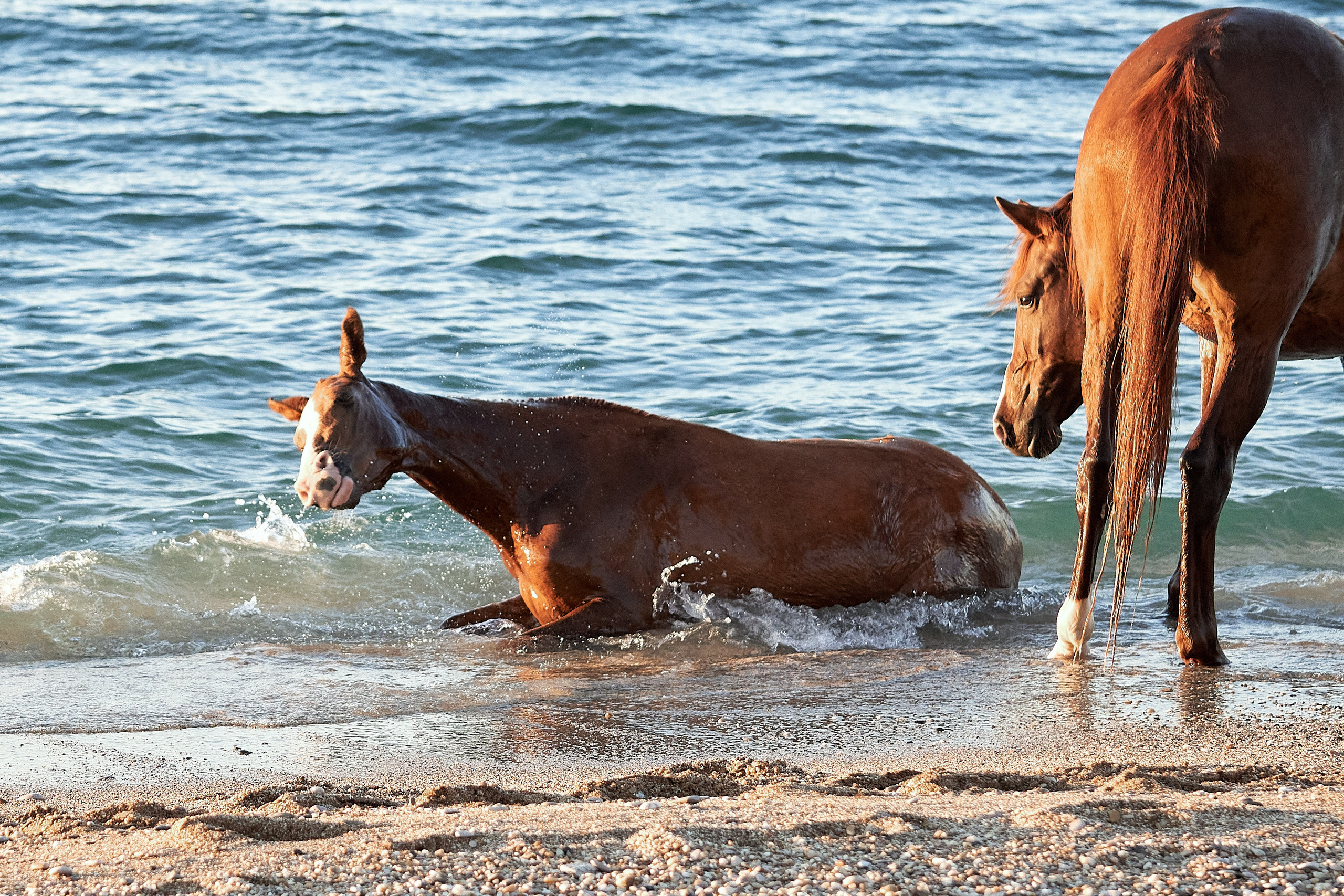 Галактика и Кассиопея. Фотограф в Севастополе