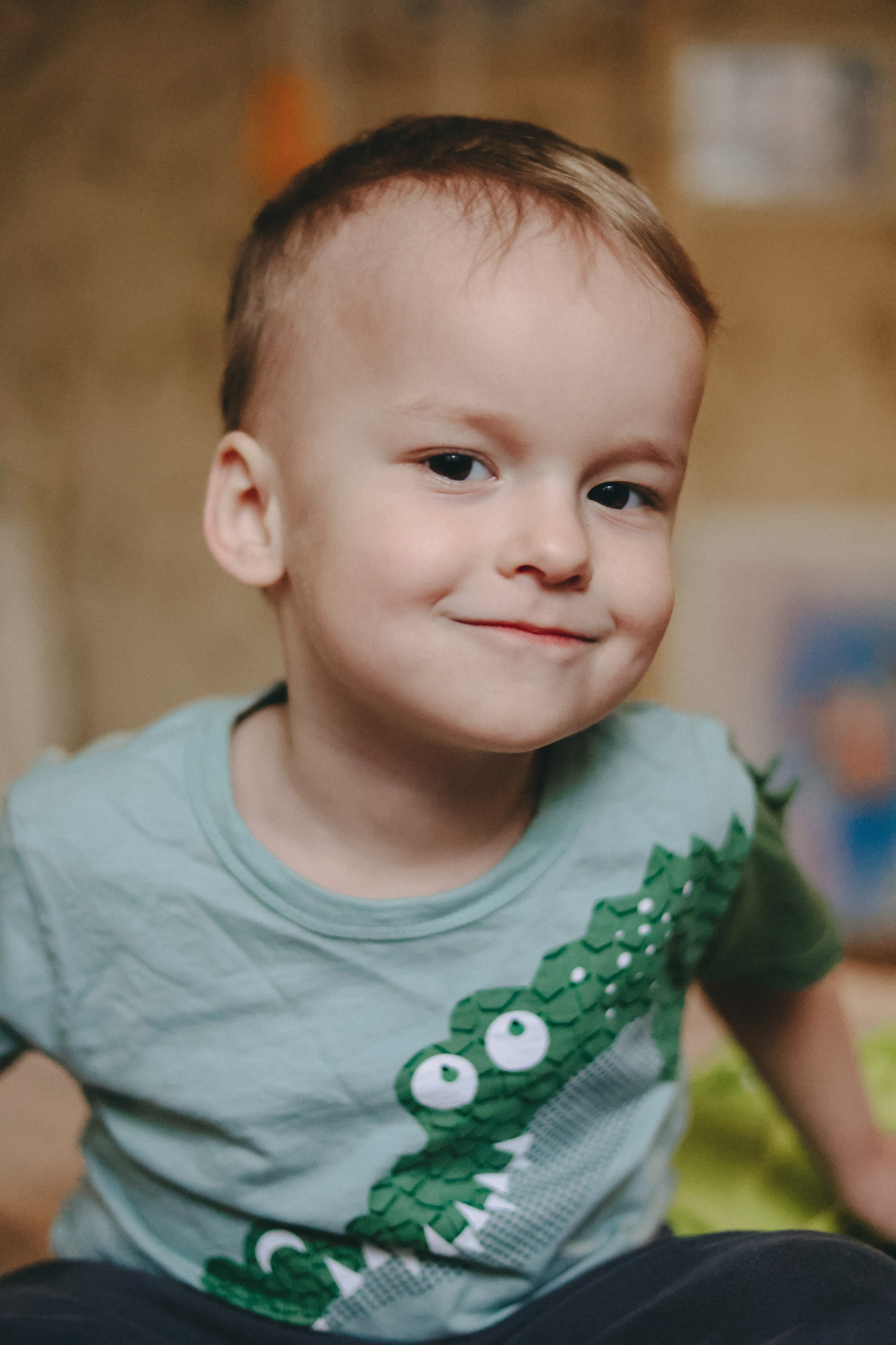 Домашняя история. Meryfotoidea