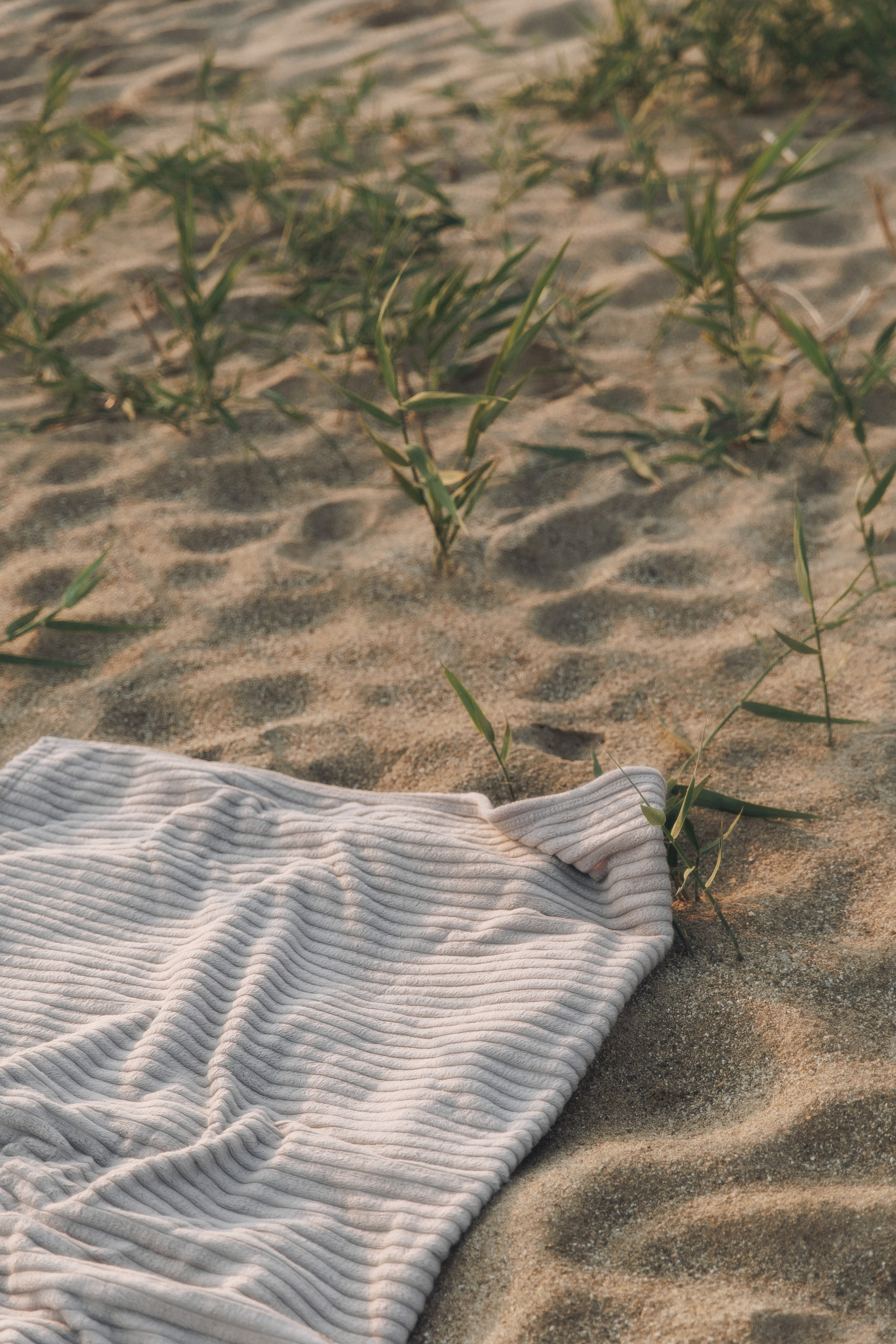 Masha | Family. Свадебный фотограф в Севастополе и Крыму| Tanya Sher