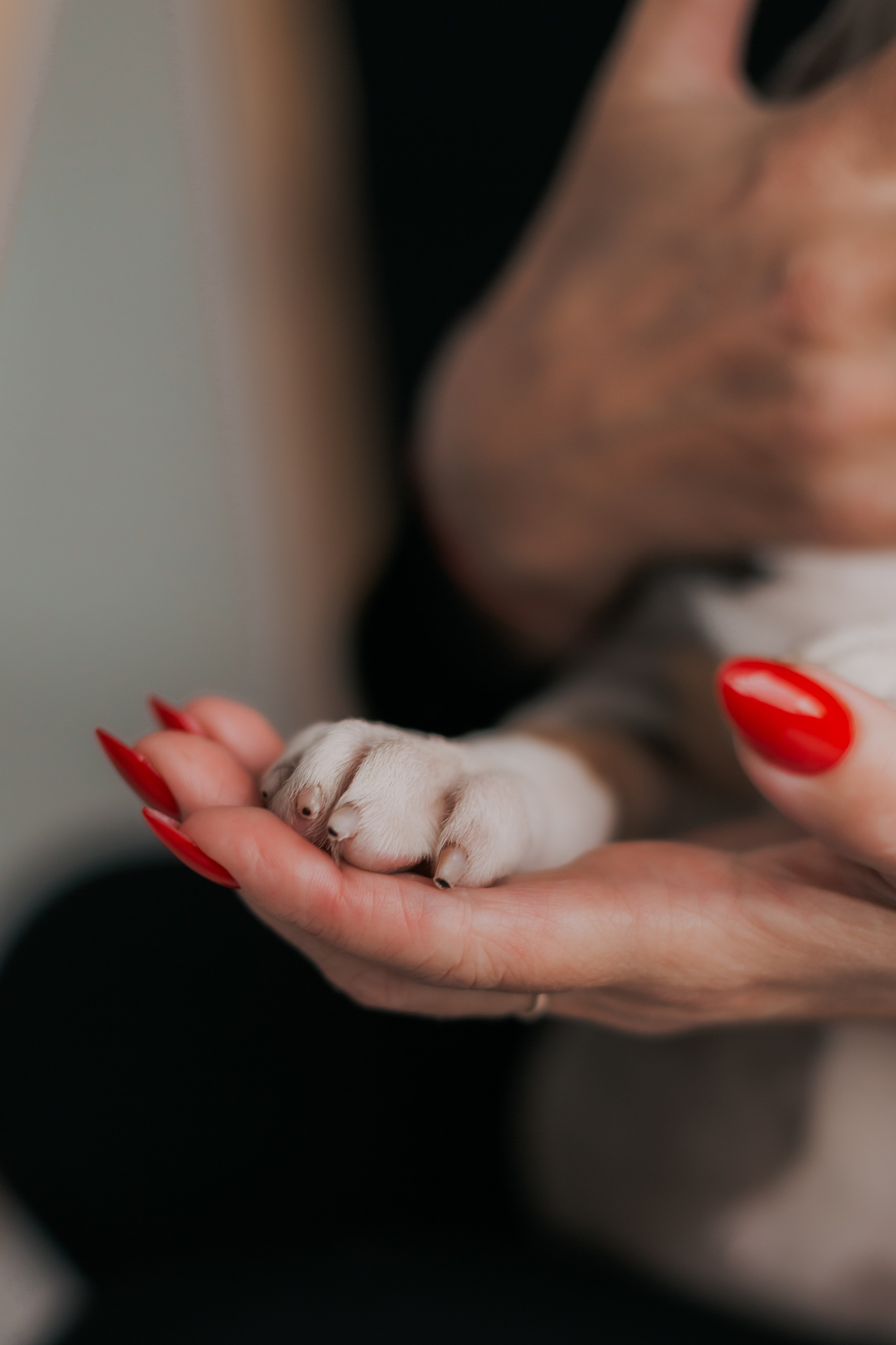 Фотосессия в г. Мытищи. Портретный фотограф. МОСКВА / МЫТИЩИ