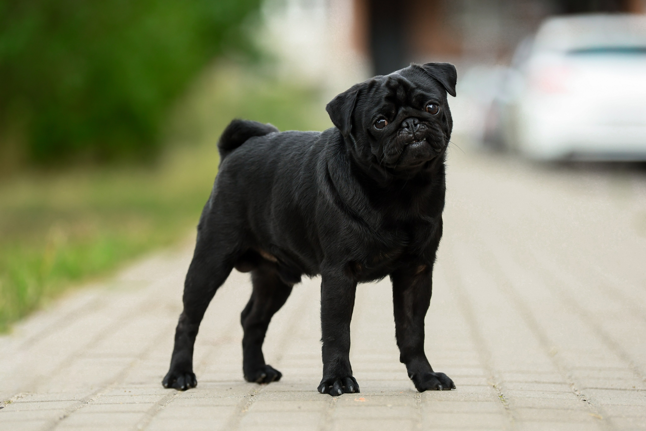 Экстерьерная съёмка