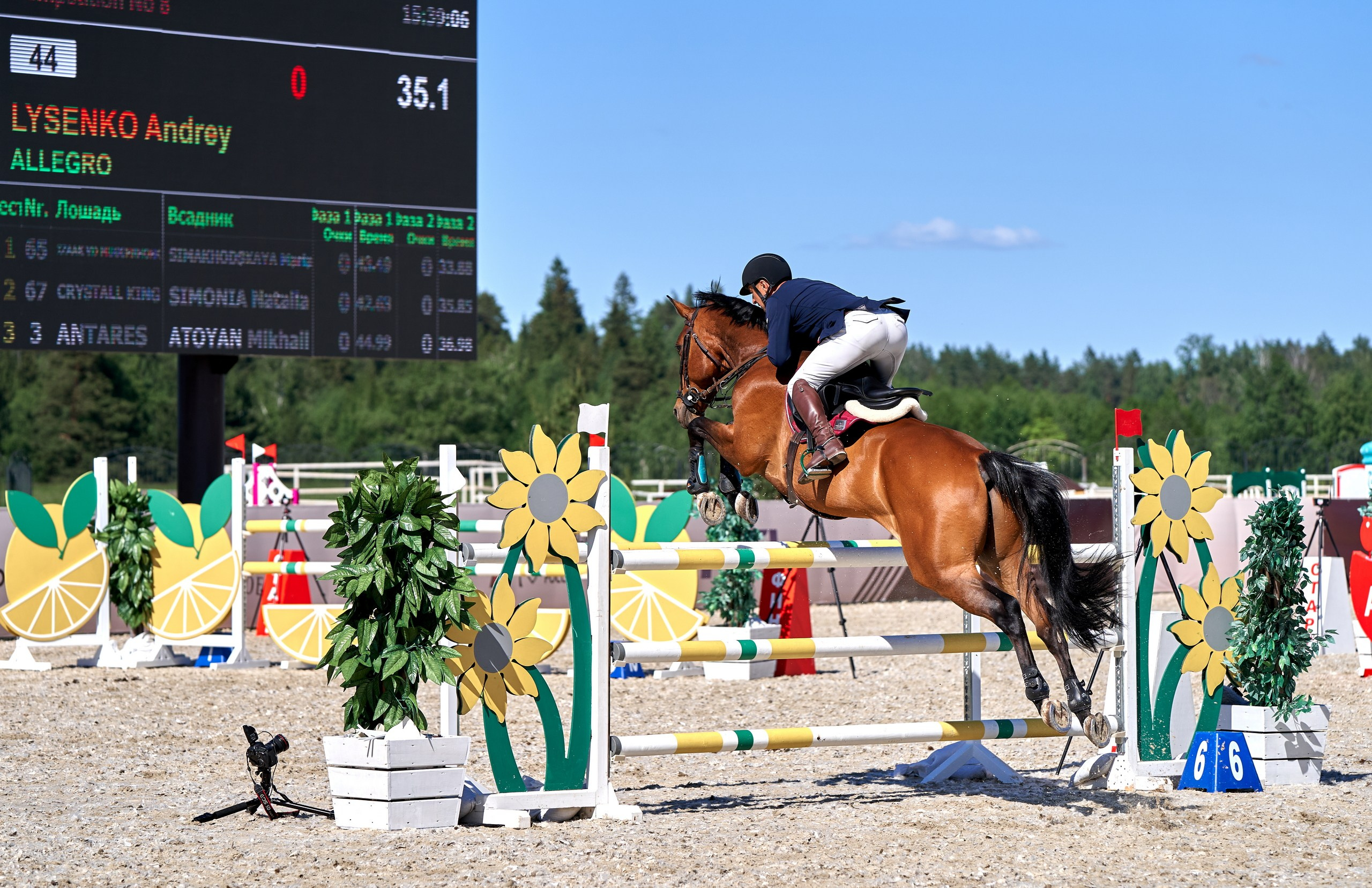 Соревнования на лошадях — галерея NATRIEL