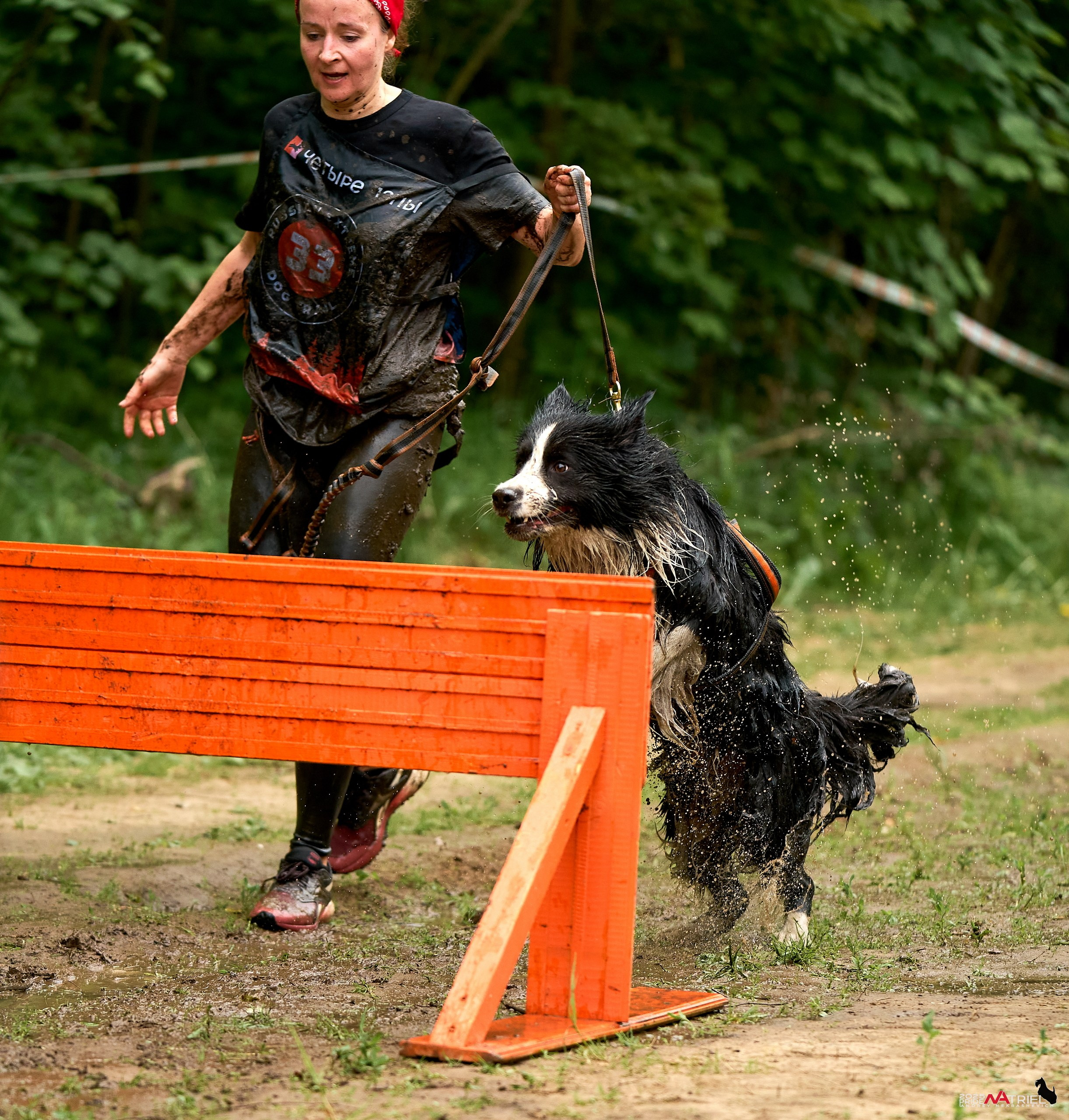 Russian Extreme Dog Trail — 2025