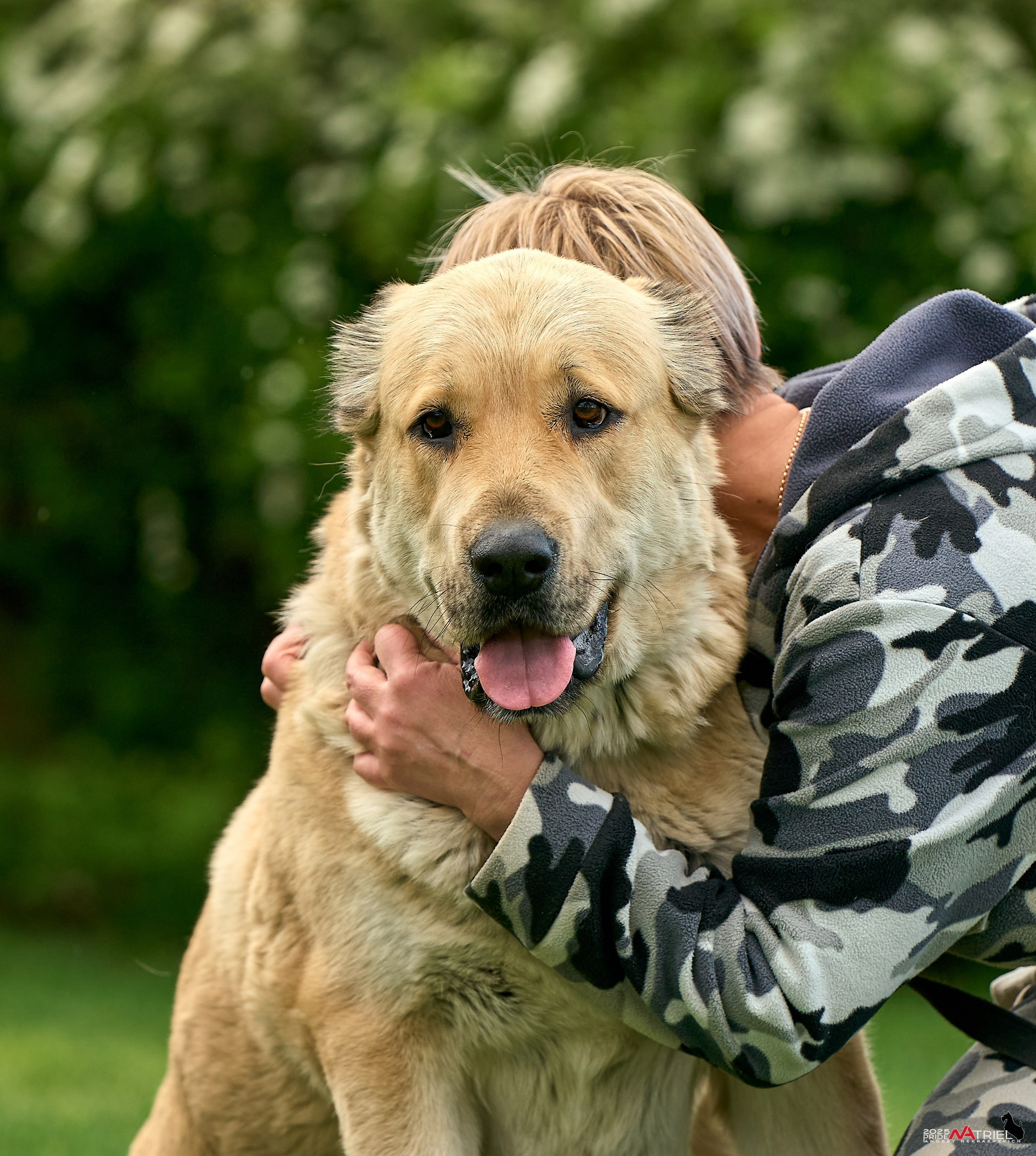 Съемка в питомнике