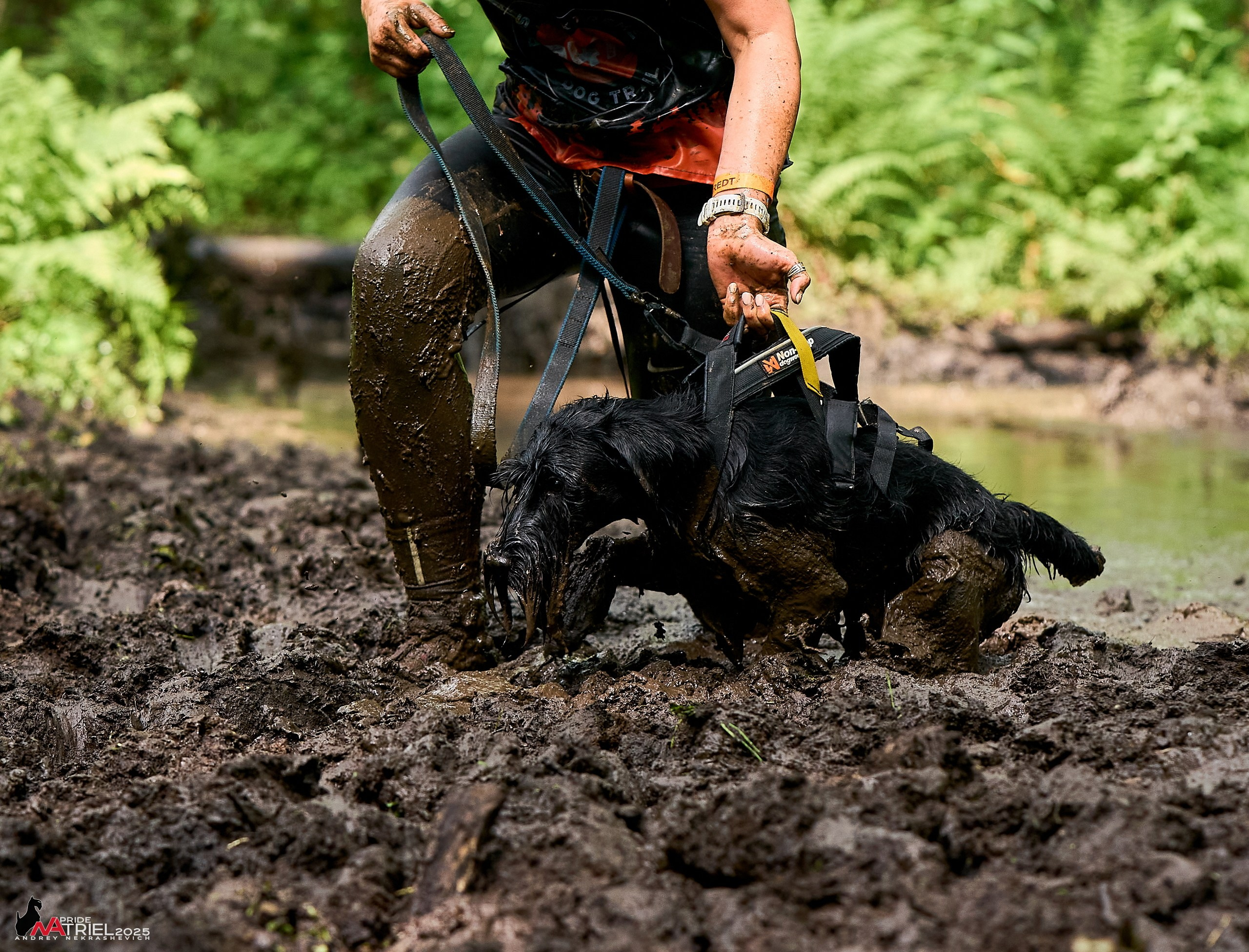 Russian Extreme Dog Trail — 2025