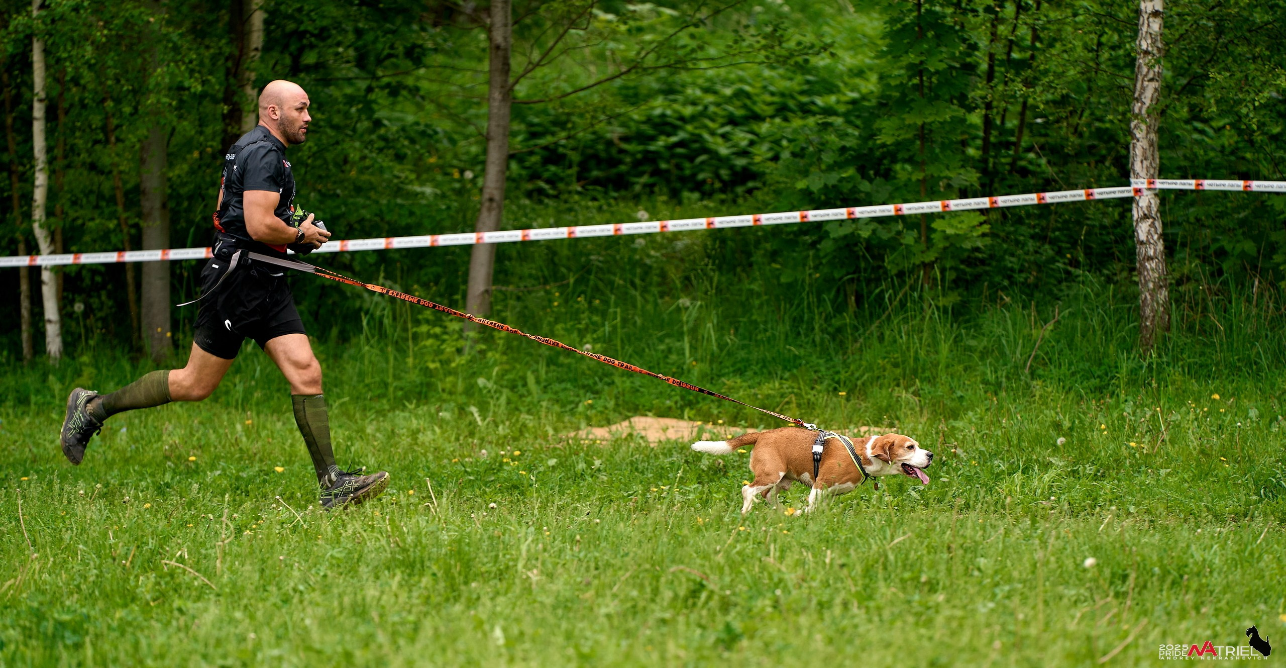 Russian Extreme Dog Trail — 2025