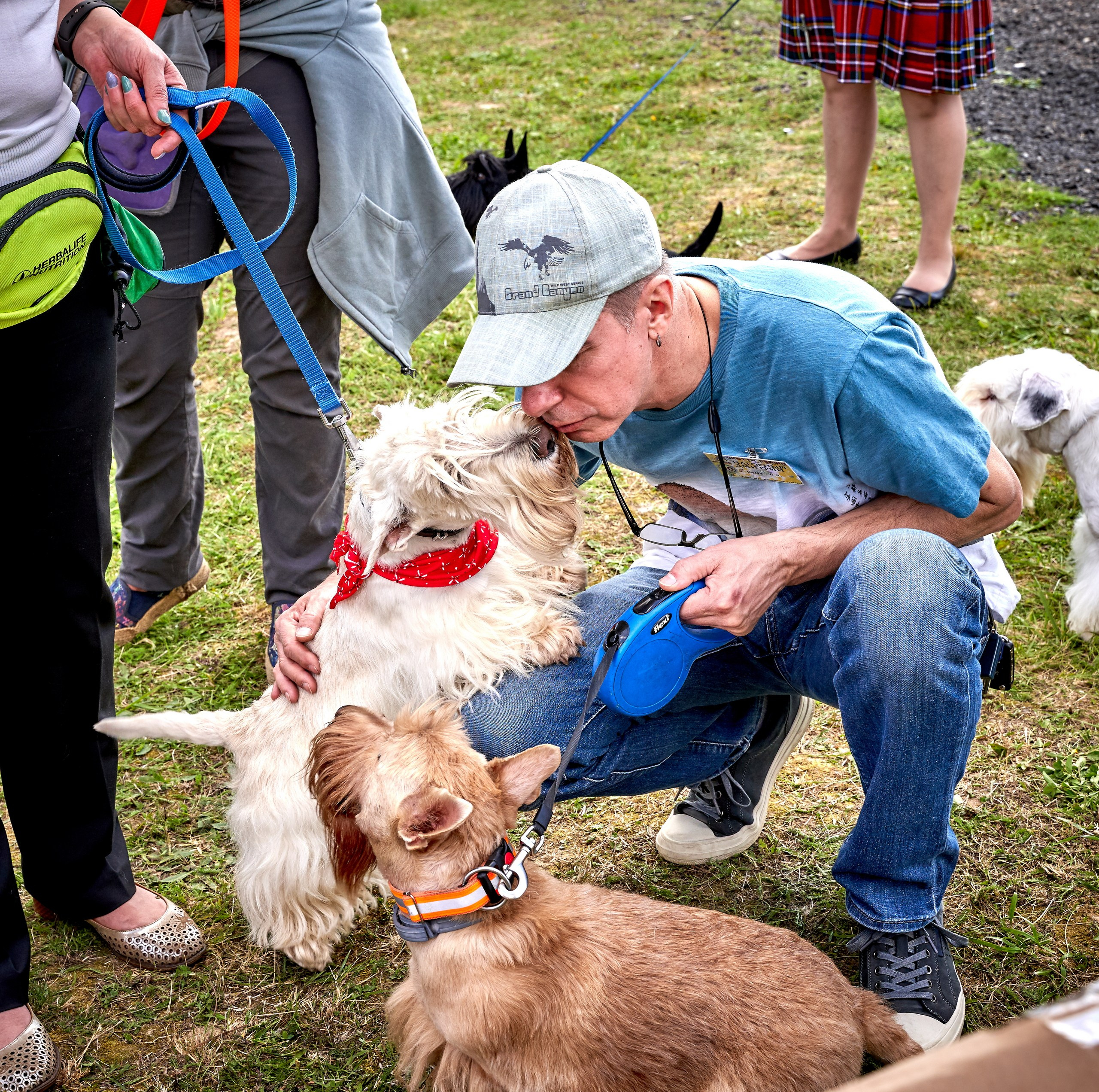 Мероприятия с собаками — галерея NATRIEL