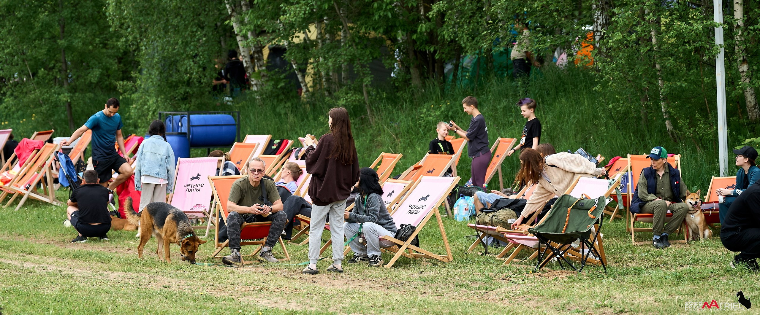 Russian Extreme Dog Trail — 2025