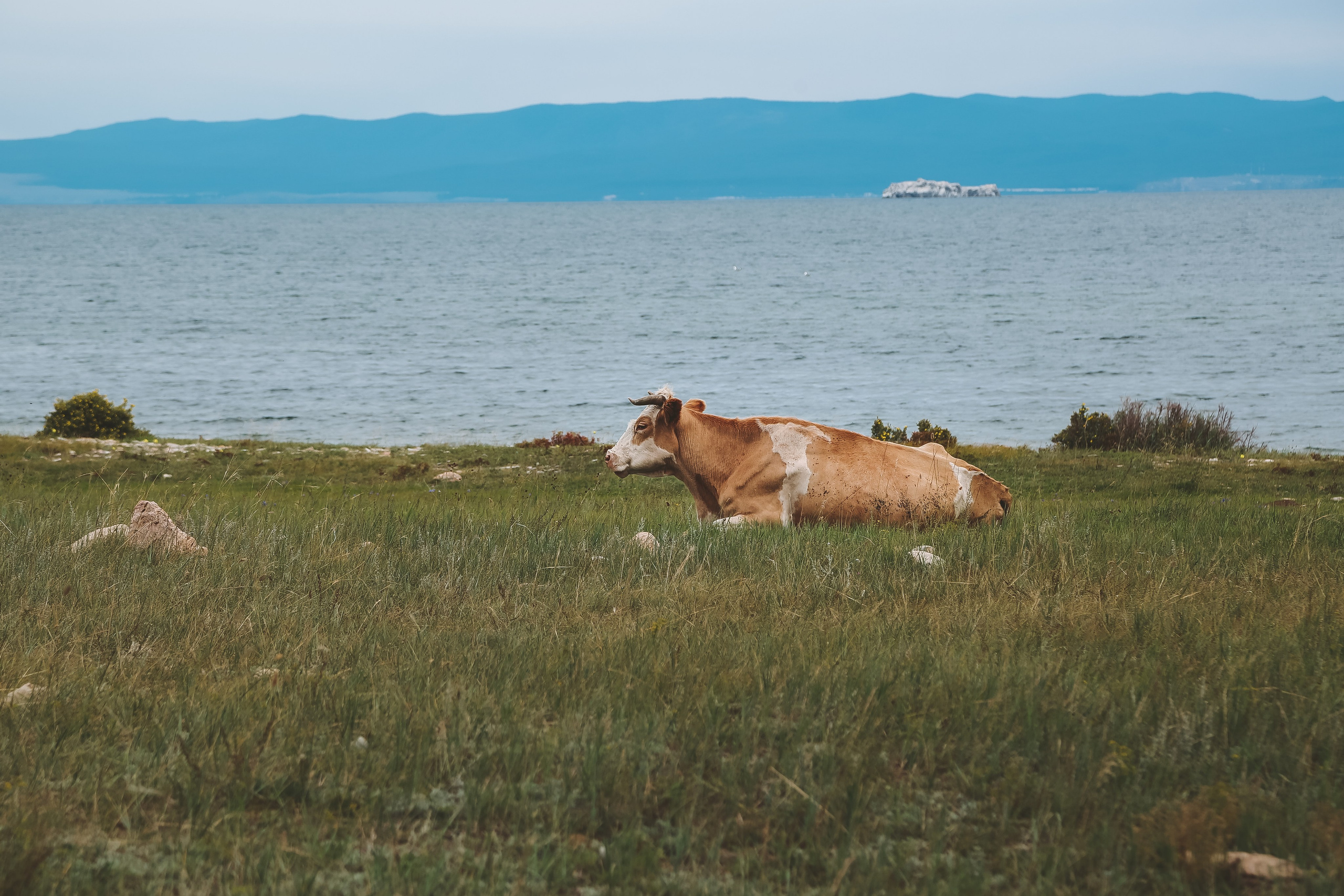 Байкал летний: легенды и святыни. Дарья Письменюк / Darya Leitstern — фотограф, музыкант, журналист, путешественник