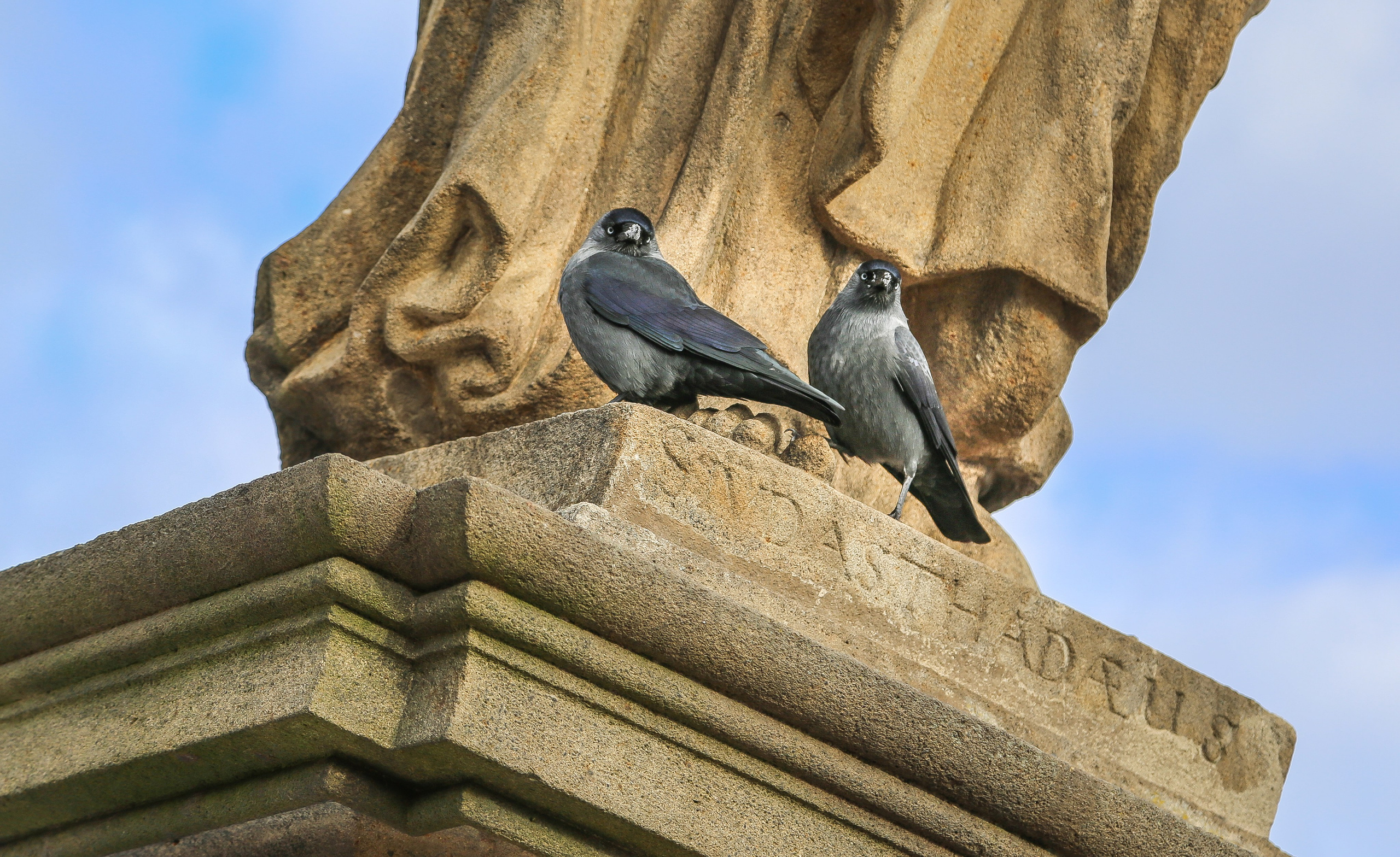 Чехия: Прага. Дарья Письменюк / Darya Leitstern — фотограф, музыкант, журналист, путешественник
