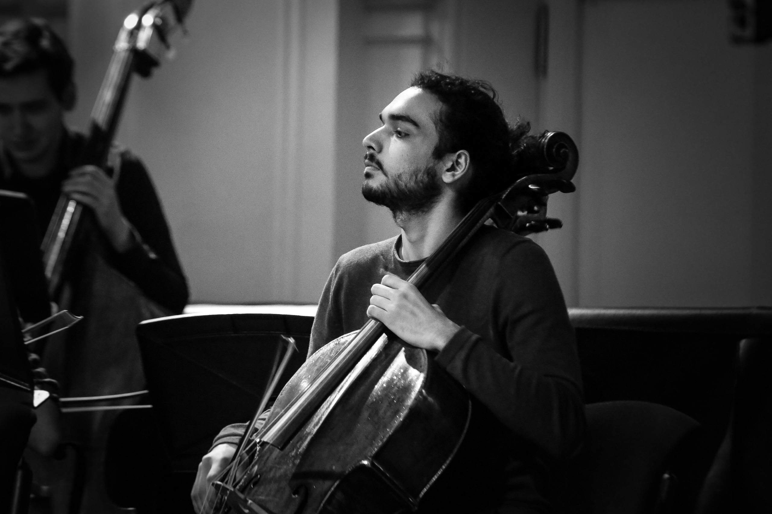 Концерт с Квартетом им. Бородина. Дарья Письменюк / Darya Leitstern — фотограф, музыкант, журналист, путешественник