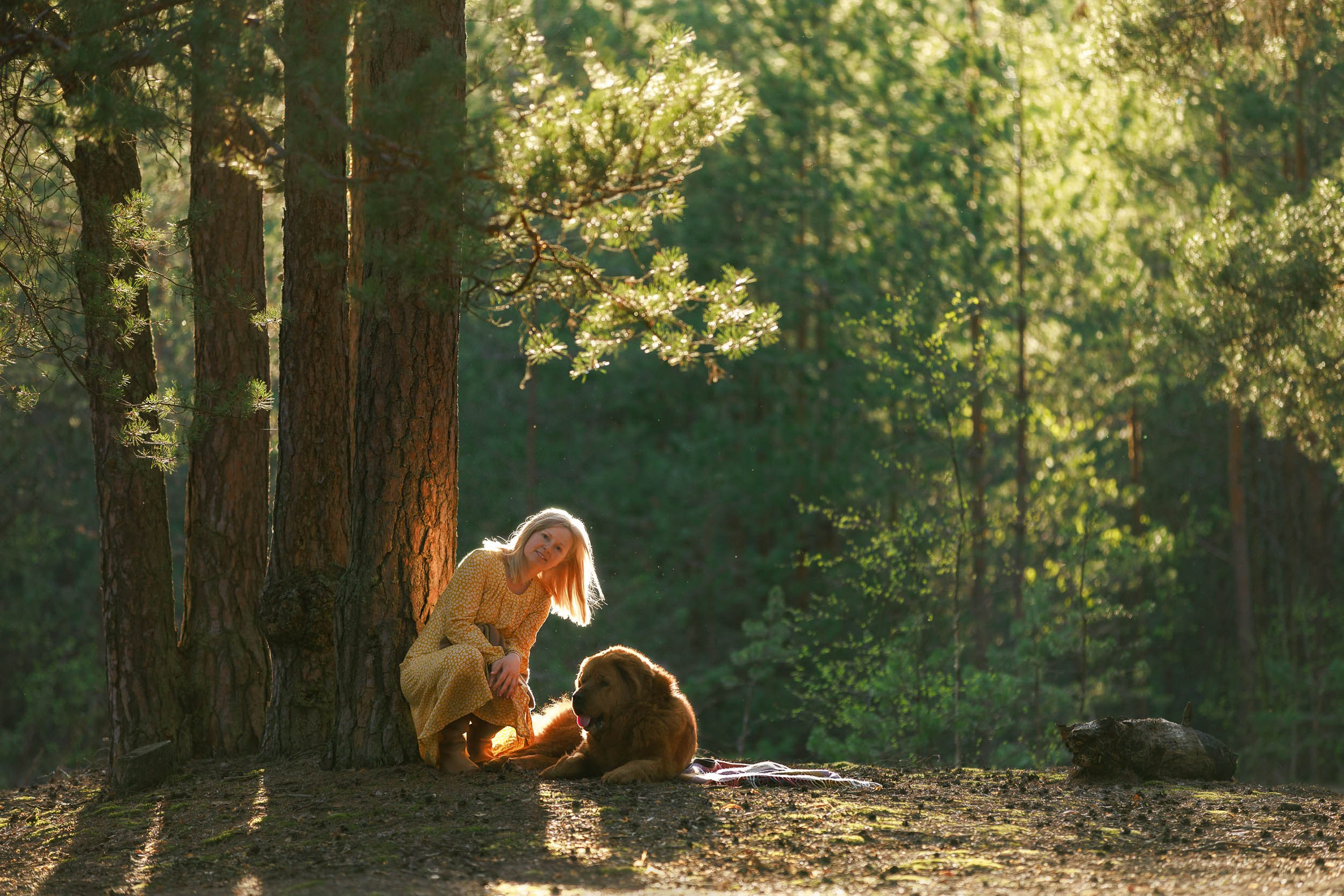 Фотосессия с тибетскими мастифами и бишон фризе. Фотограф-анималист в Москве и Московской области Татьяна Фролова