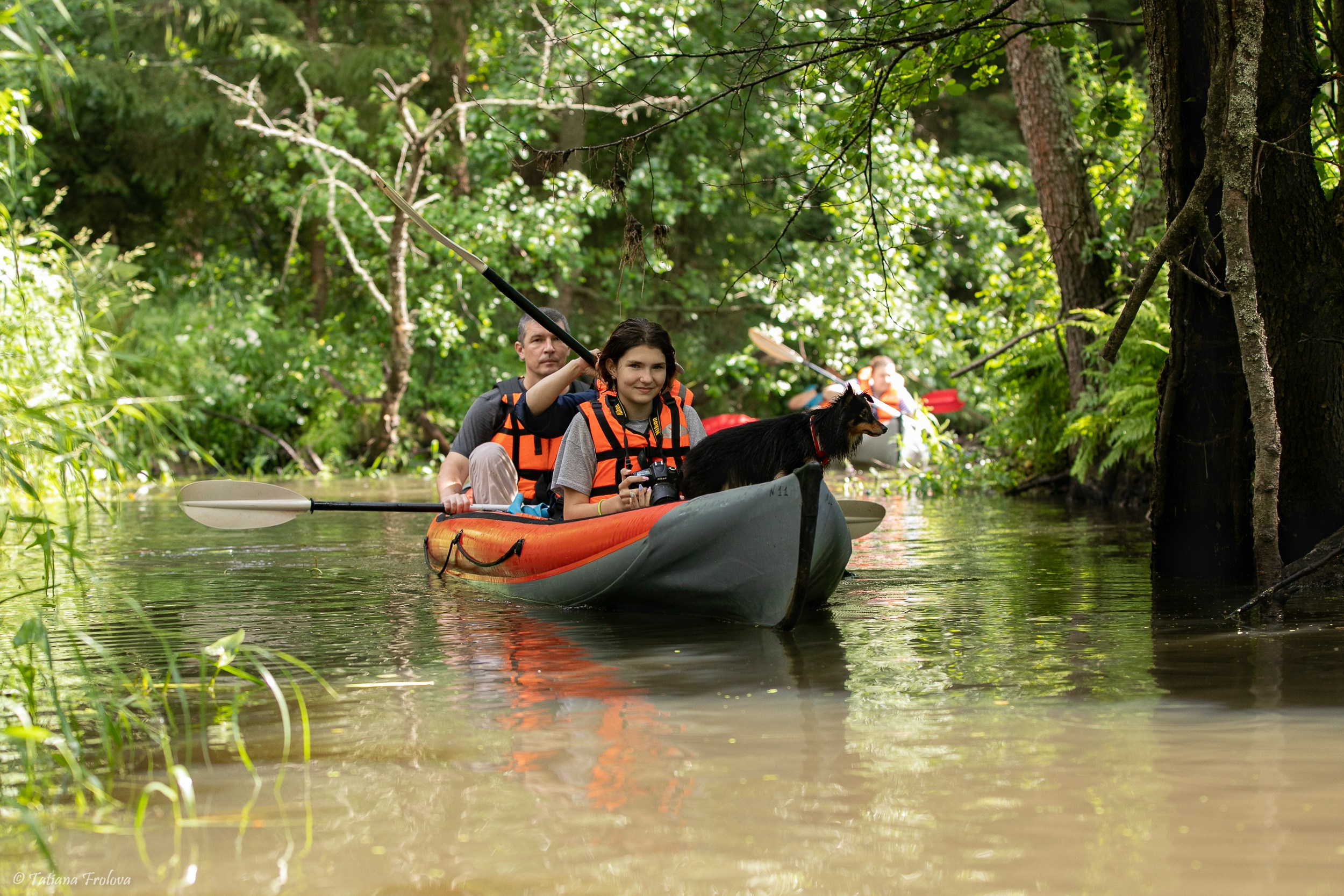 Фотоочет о сплаве на байдарках вместе с собаками. Фотограф-анималист в Москве и Московской области Татьяна Фролова