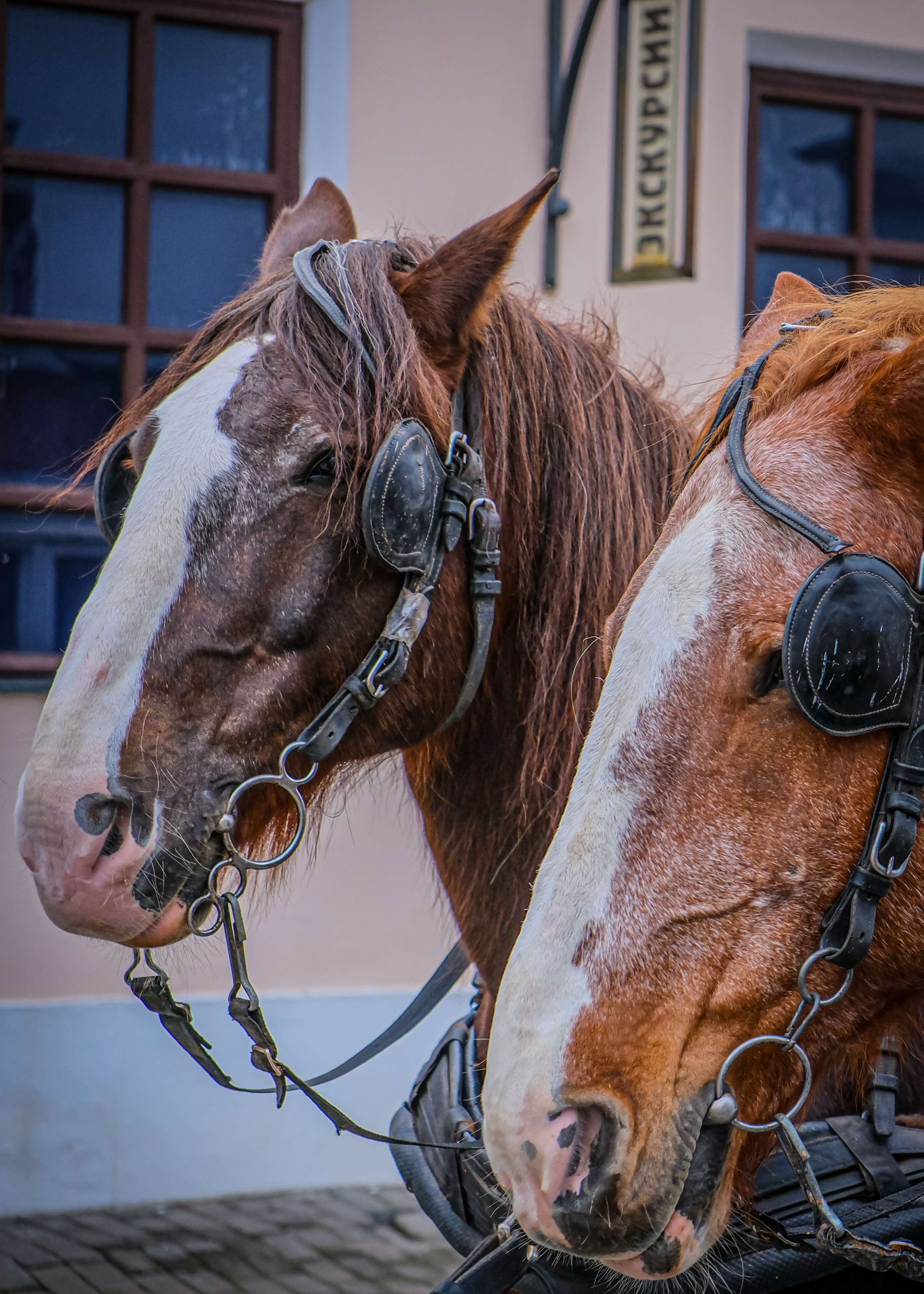 Текстуры. Фотограф в Москве, фотожурналист Александр Малахов