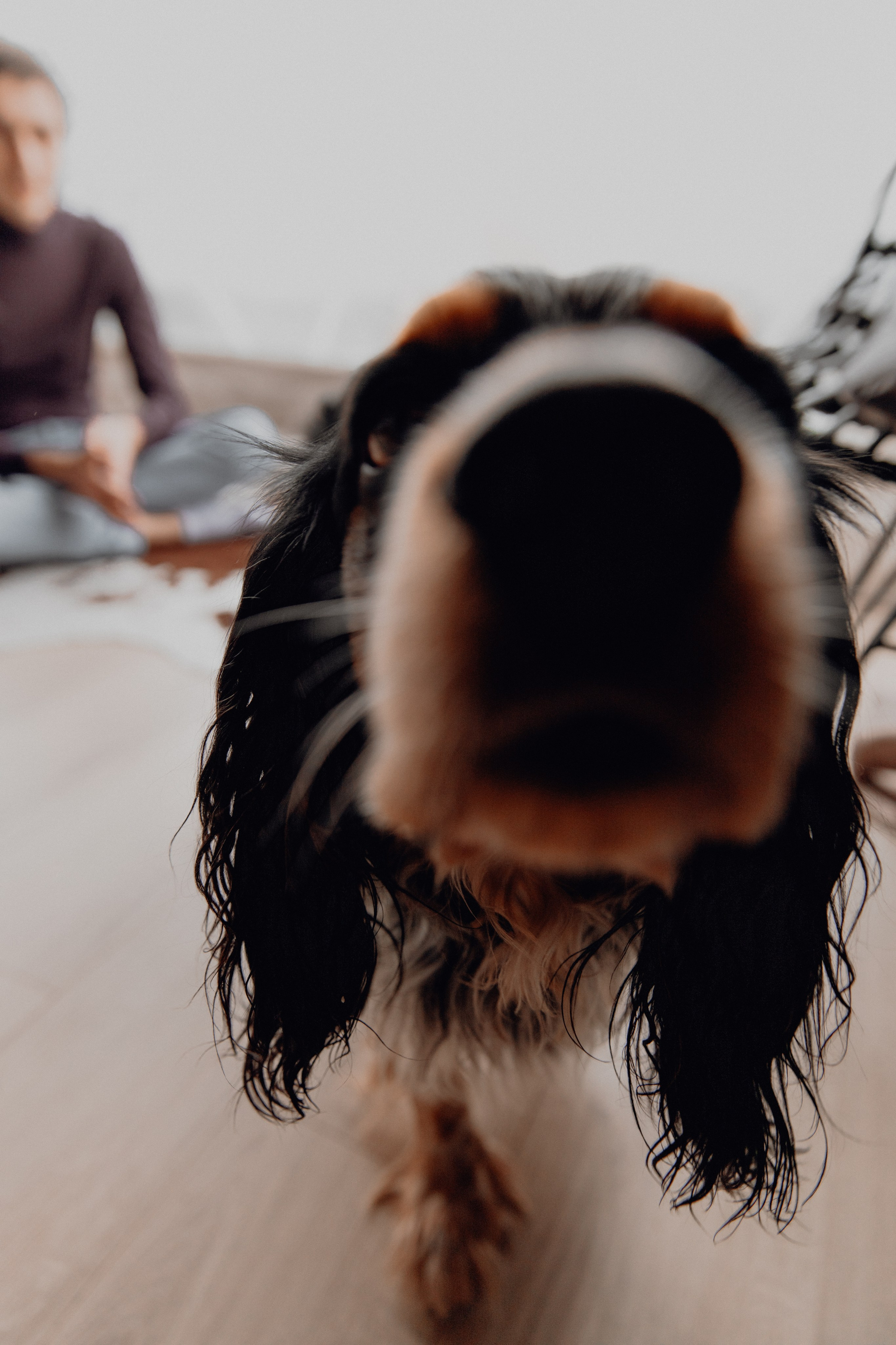 Ася ღ Заур. Портфолио