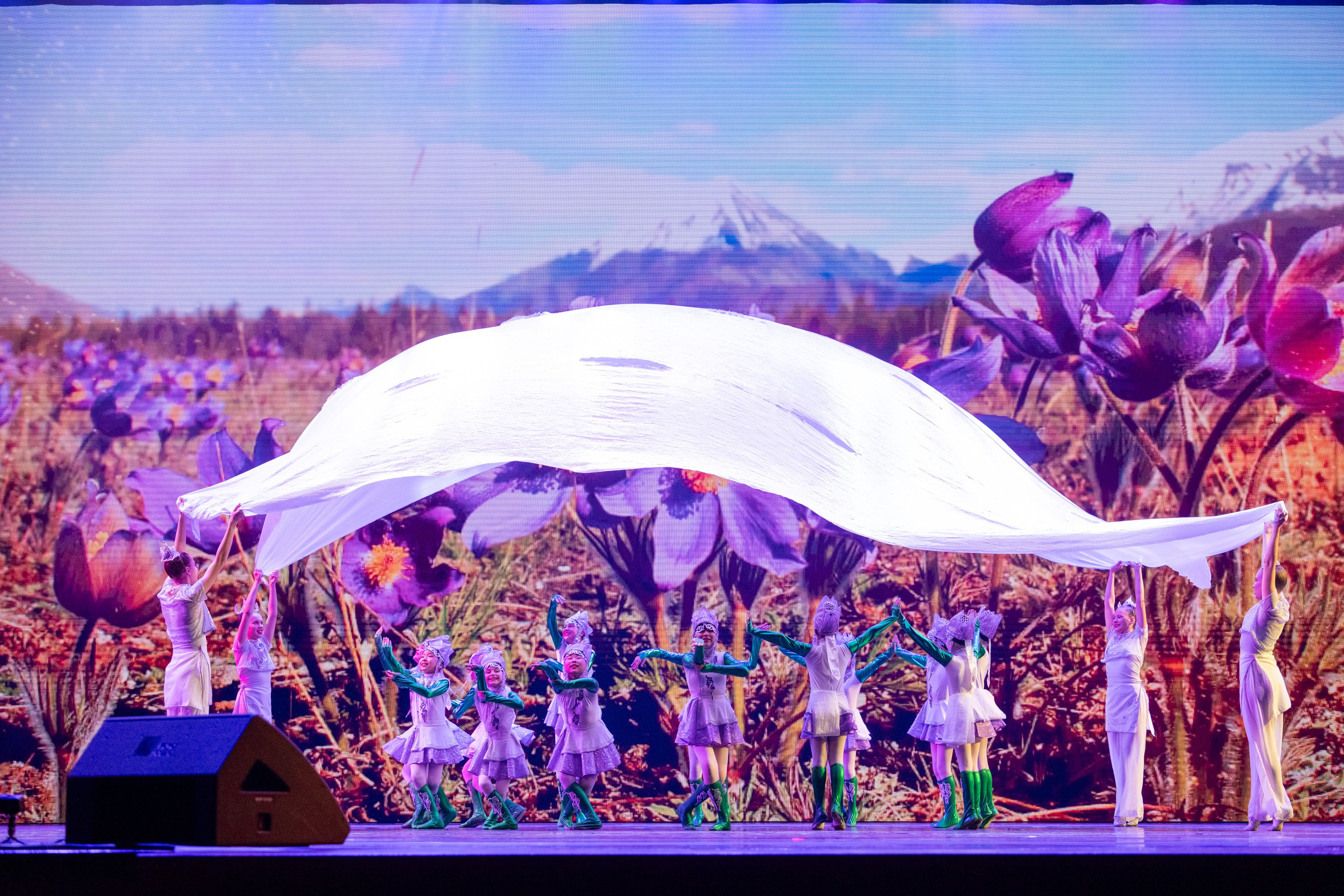 18 мая, г. Москва, Кремль, Концерт. Золотое яблочко