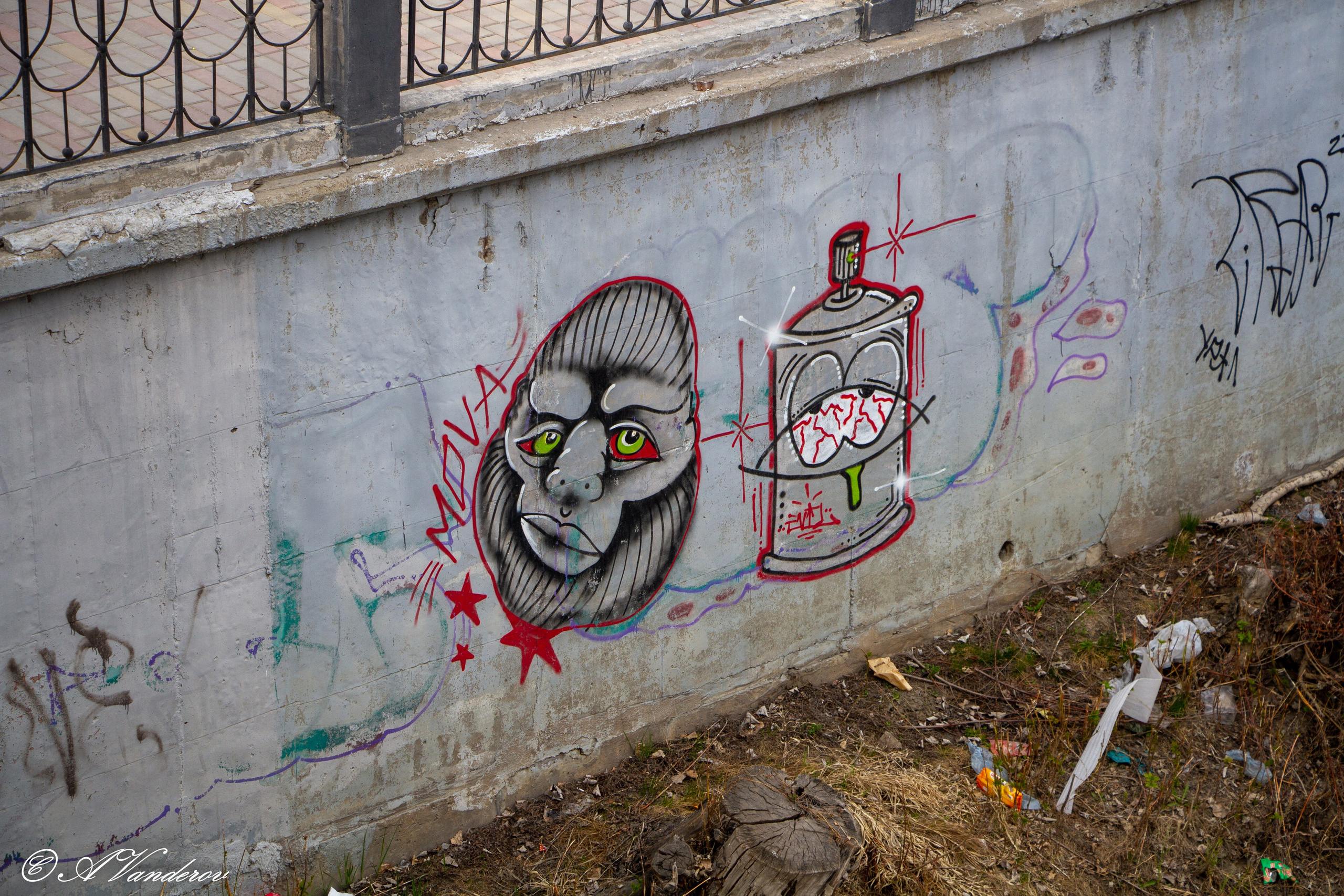 Омск 2023. Фотограф Омск | Александр Вандеров