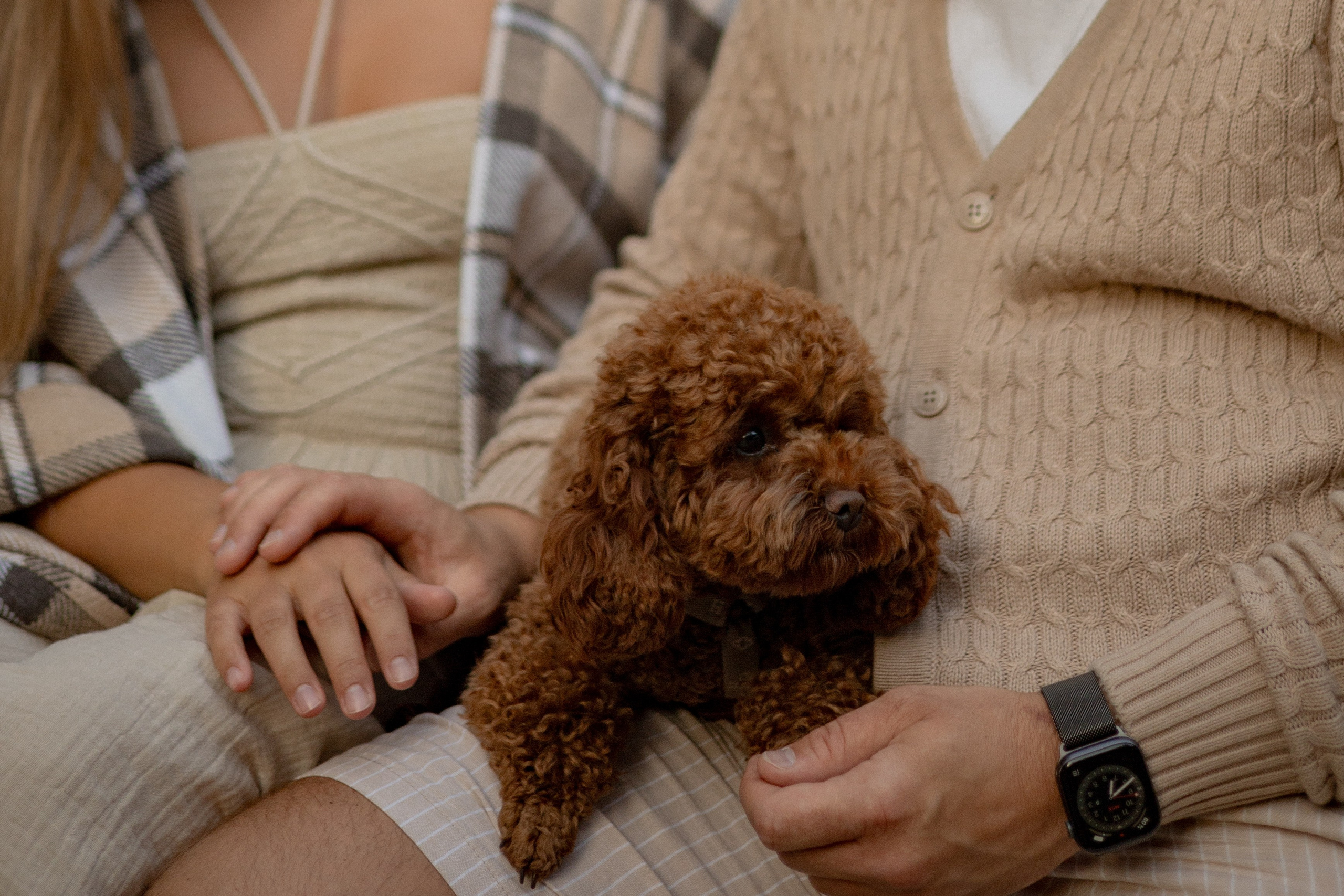 Мишель и её семья. Фотограф — анималист •love-story•|Санкт-Петербург