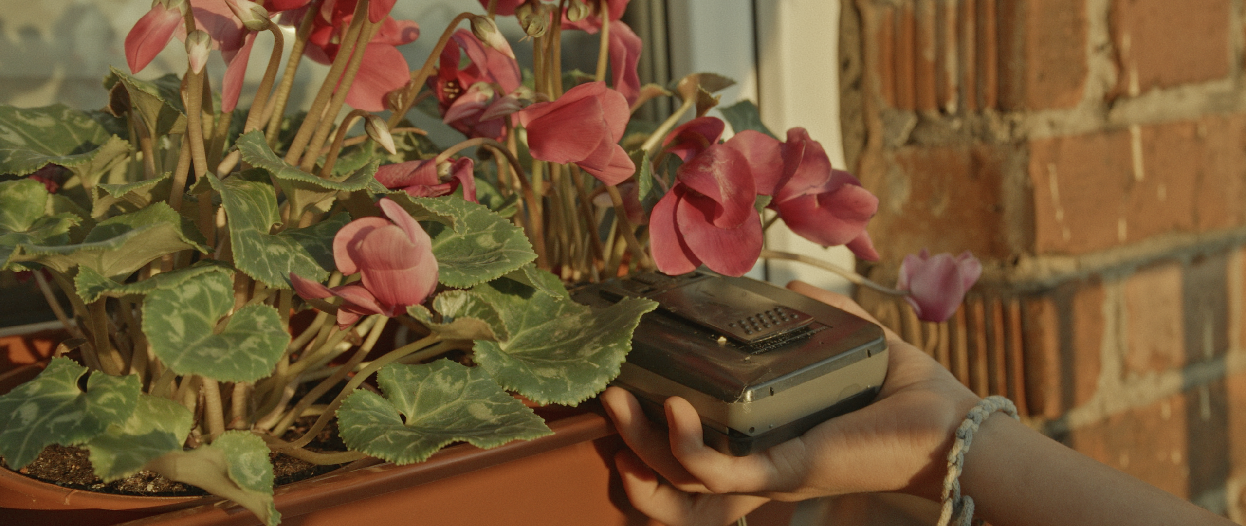 Punctuation mark. Tokcolor