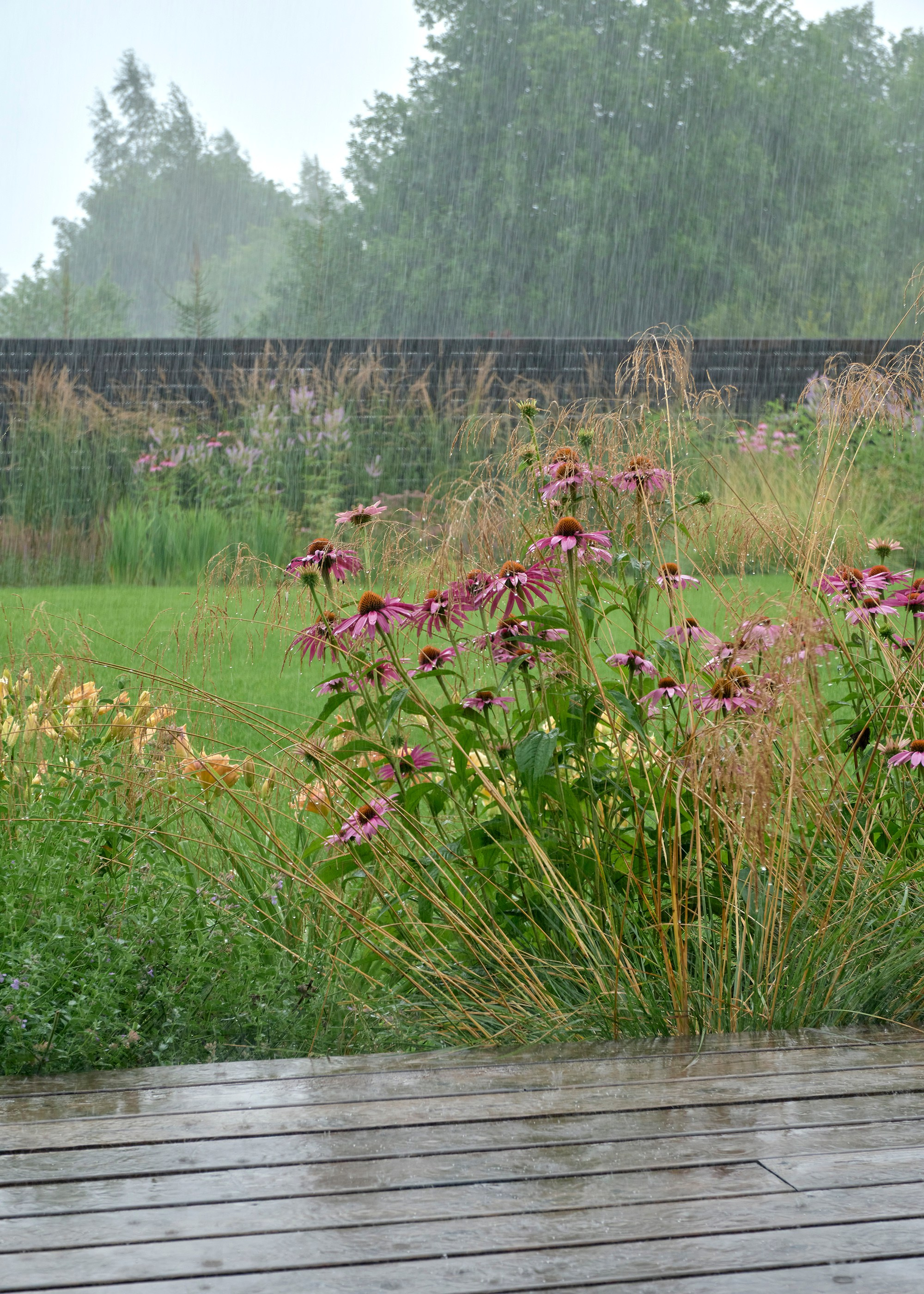 Ландшафтный и интерьерный фотограф Наталья Соловьева. Фотосъемка частного сада под Гатчиной для Таисьи Игошиной | interioto