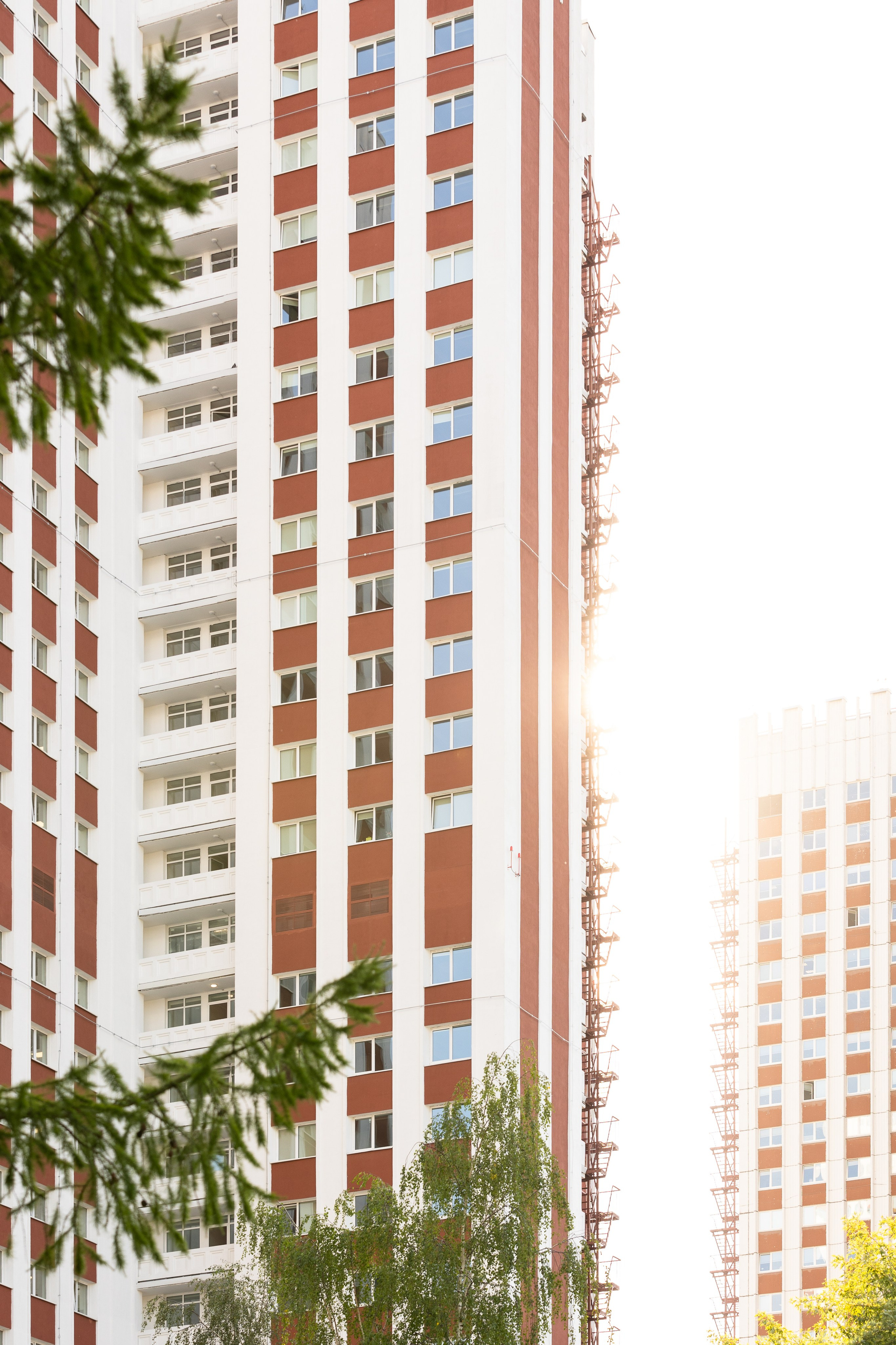 Виды Академии. Фотограф в Москве Даша Зуева