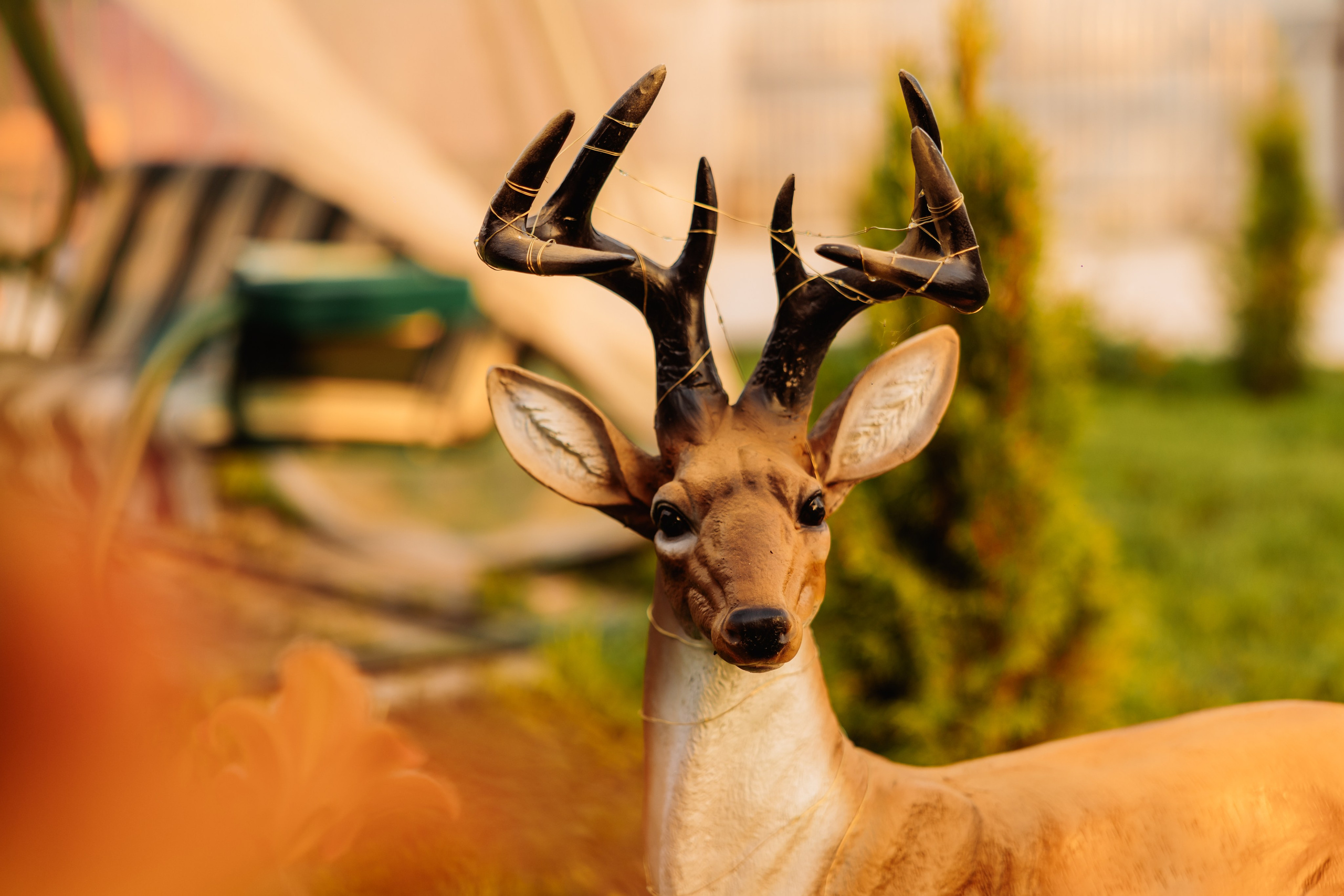 Гостевой Дом «Ривьера» | г. Коломна. ФОТОГРАФ ИРИНА ШАМАТАВА