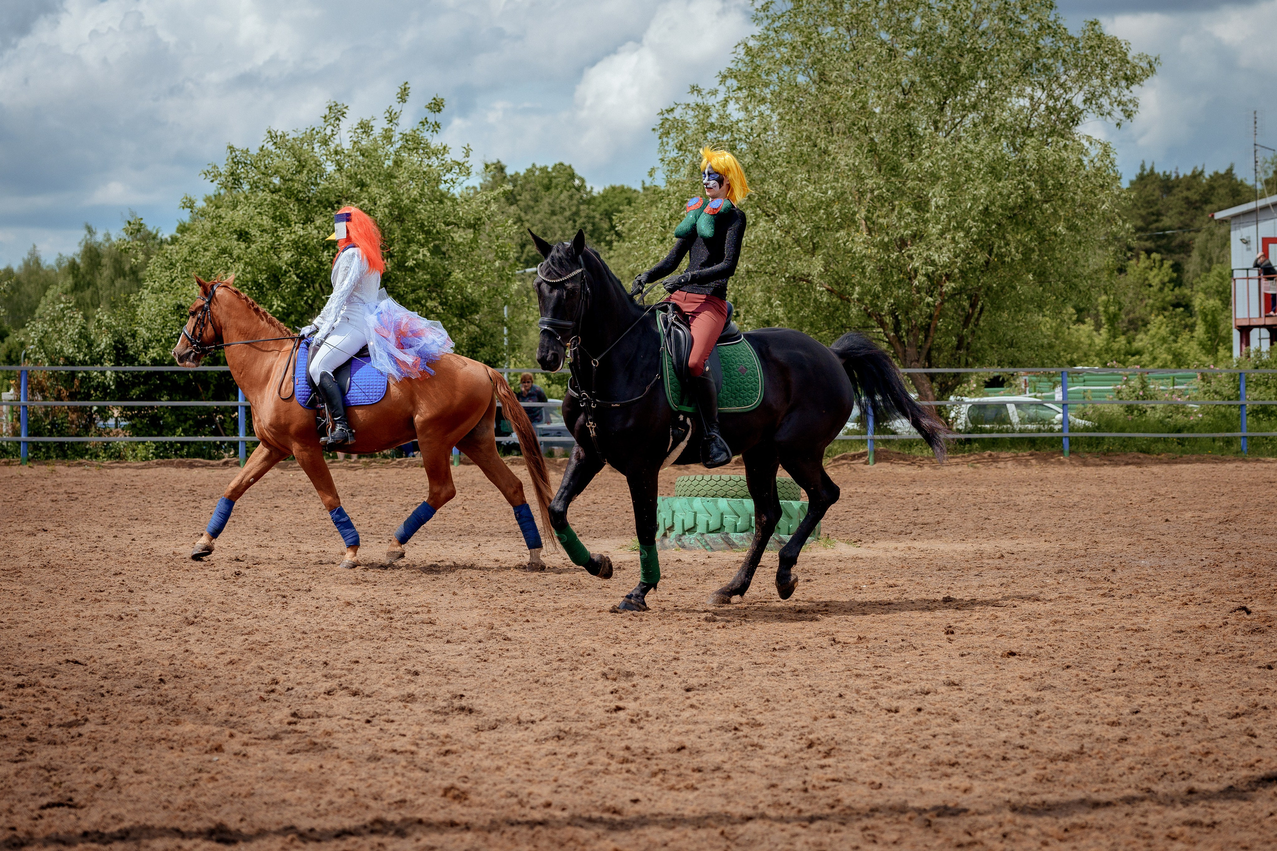 Конный клуб Горки. Портретный и семейный фотограф в Москве/Видное