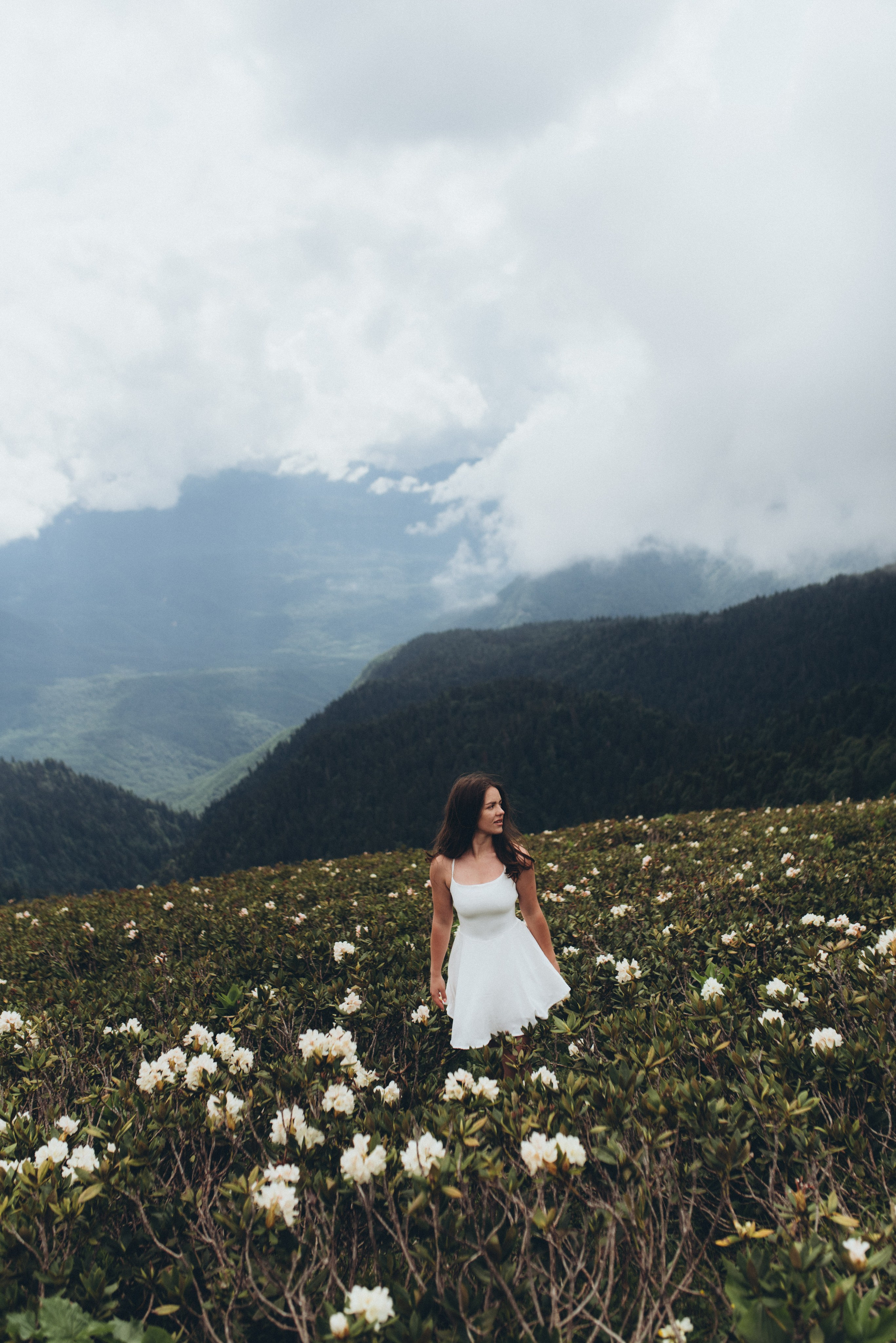 Фотосессия в горах Красной поляна Сочи цветение рододендрона. Фотограф в Сочи — Маргарита Поганова